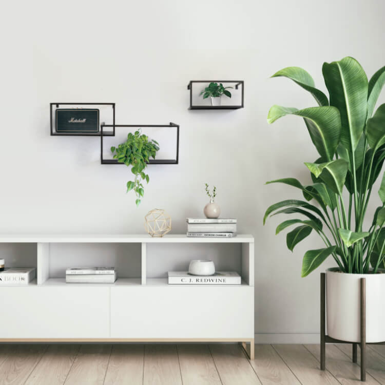 【アイアンインテリアとは】部屋が垢抜ける理由｜ウォールアートで“締まる”空間の作り方