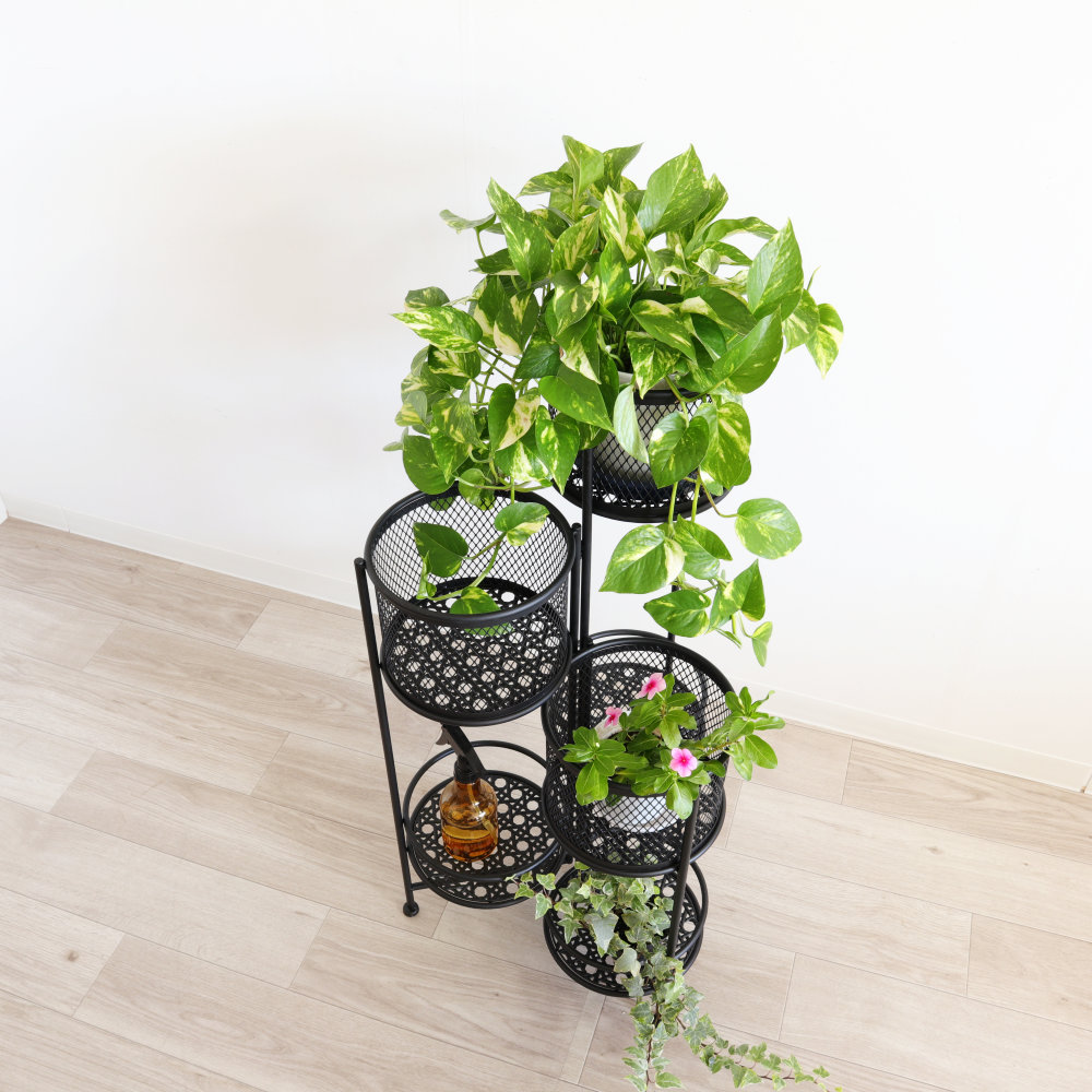 くるっと回るだけで部屋が整う。観葉植物が映える「スタンドプランター」の魅力