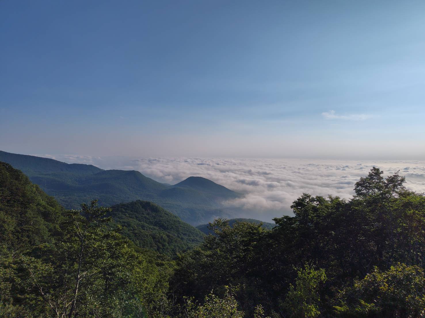 浄土平で味わう、名郷糀屋の甘酒時間。