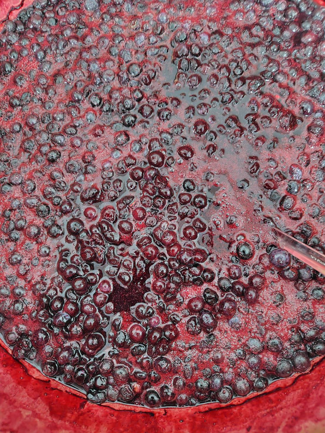 完売続きの「ブルーベリー甘酒」、その裏側。