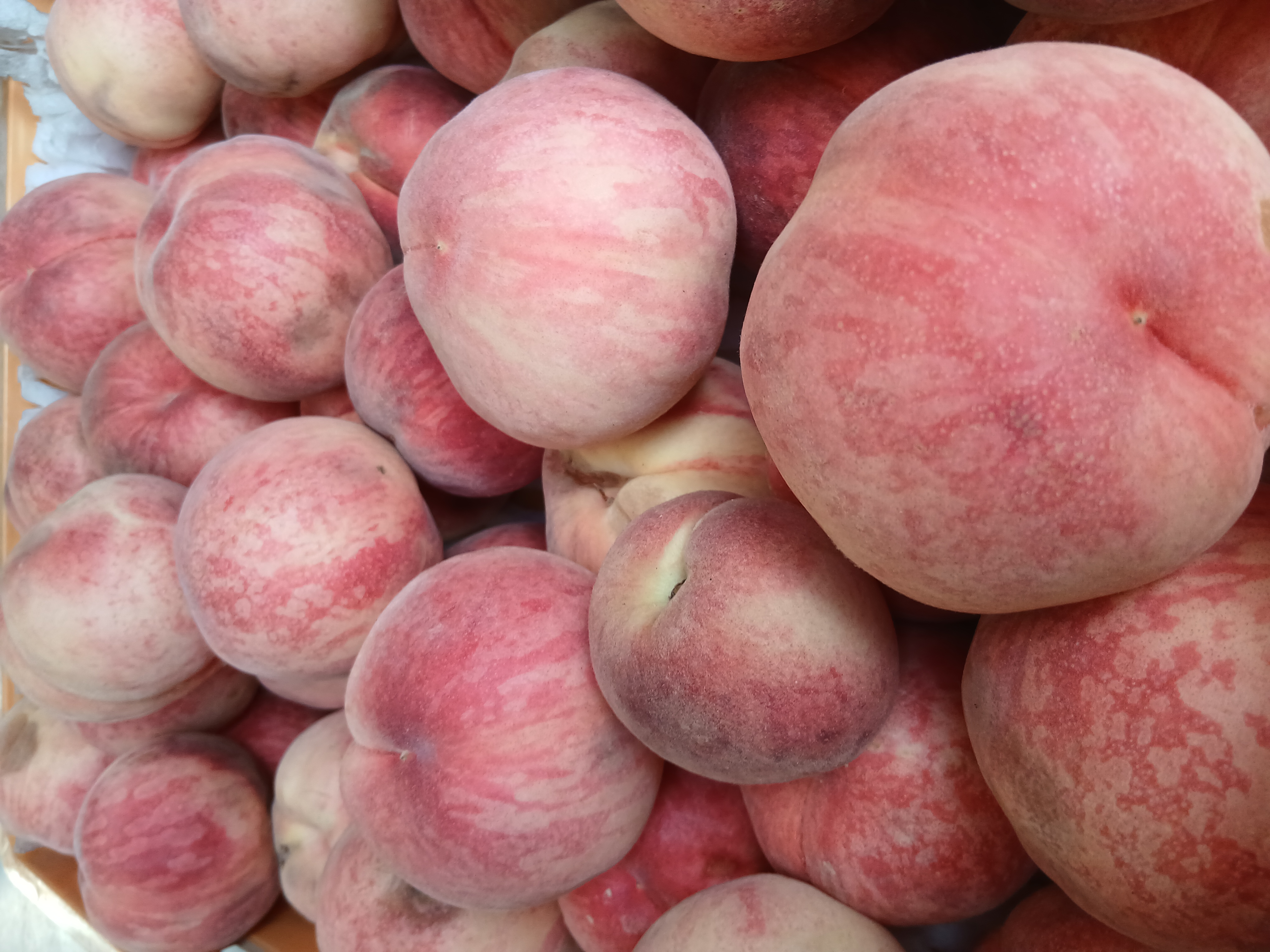 「大玉村の桃、名郷糀屋の甘酒でとろける。」