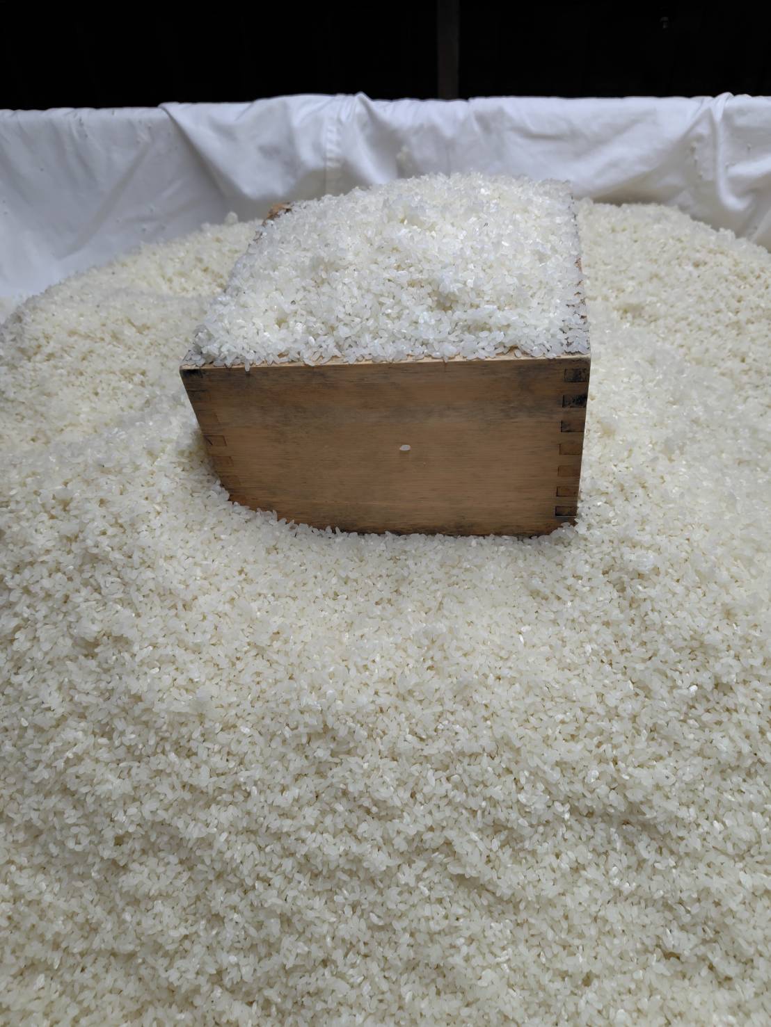 【季節の便り】沢庵の季節、生糀が人気です