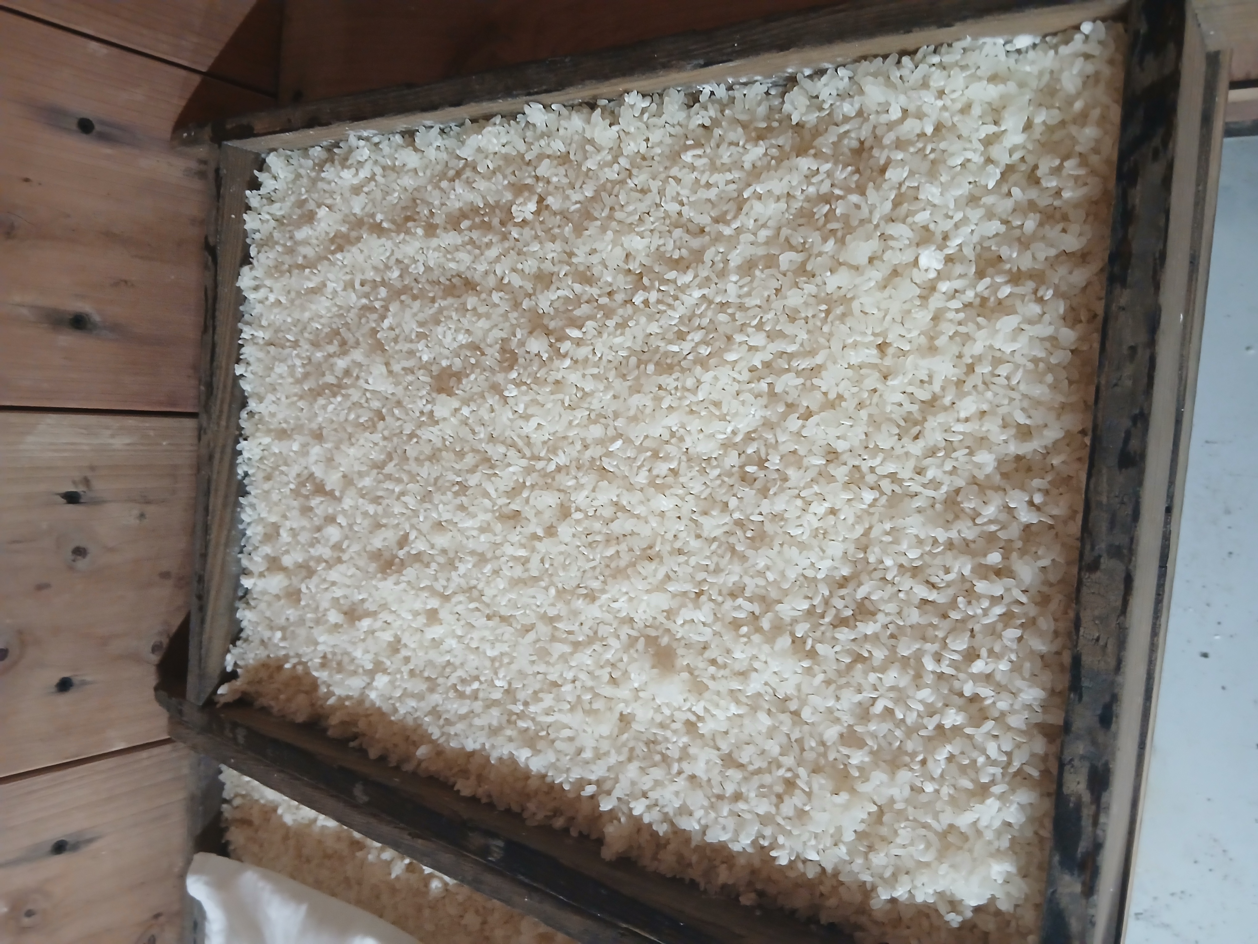 甘酒仕込み作業