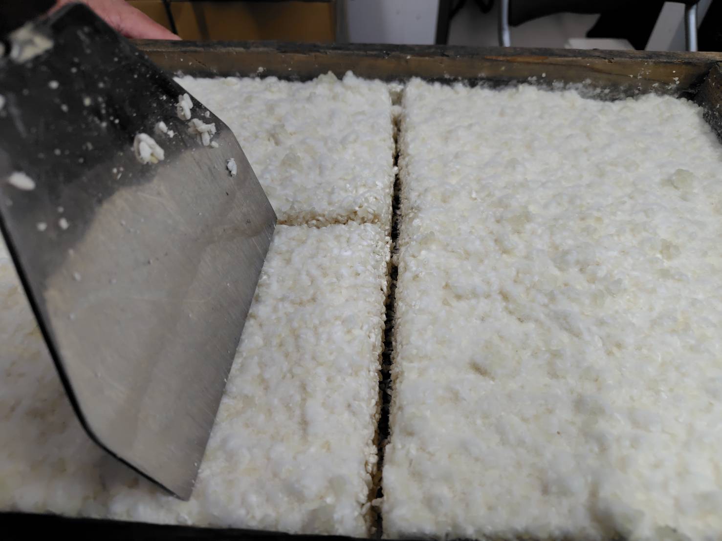 「福、笑い」の糀ができました