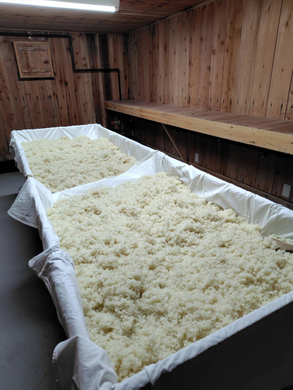 生糀仕込み作業