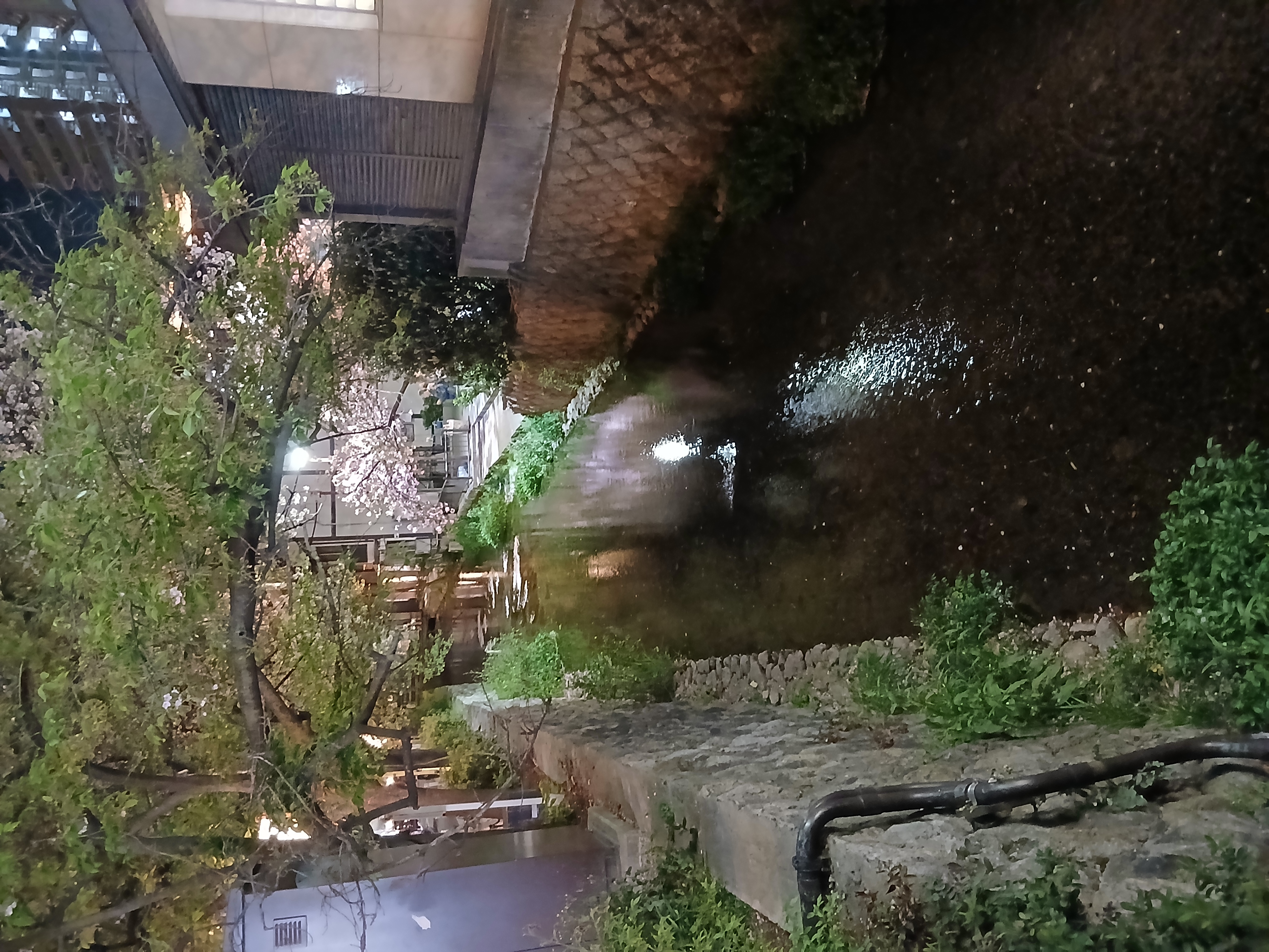 充実の京都高島屋催事を終えて🤗