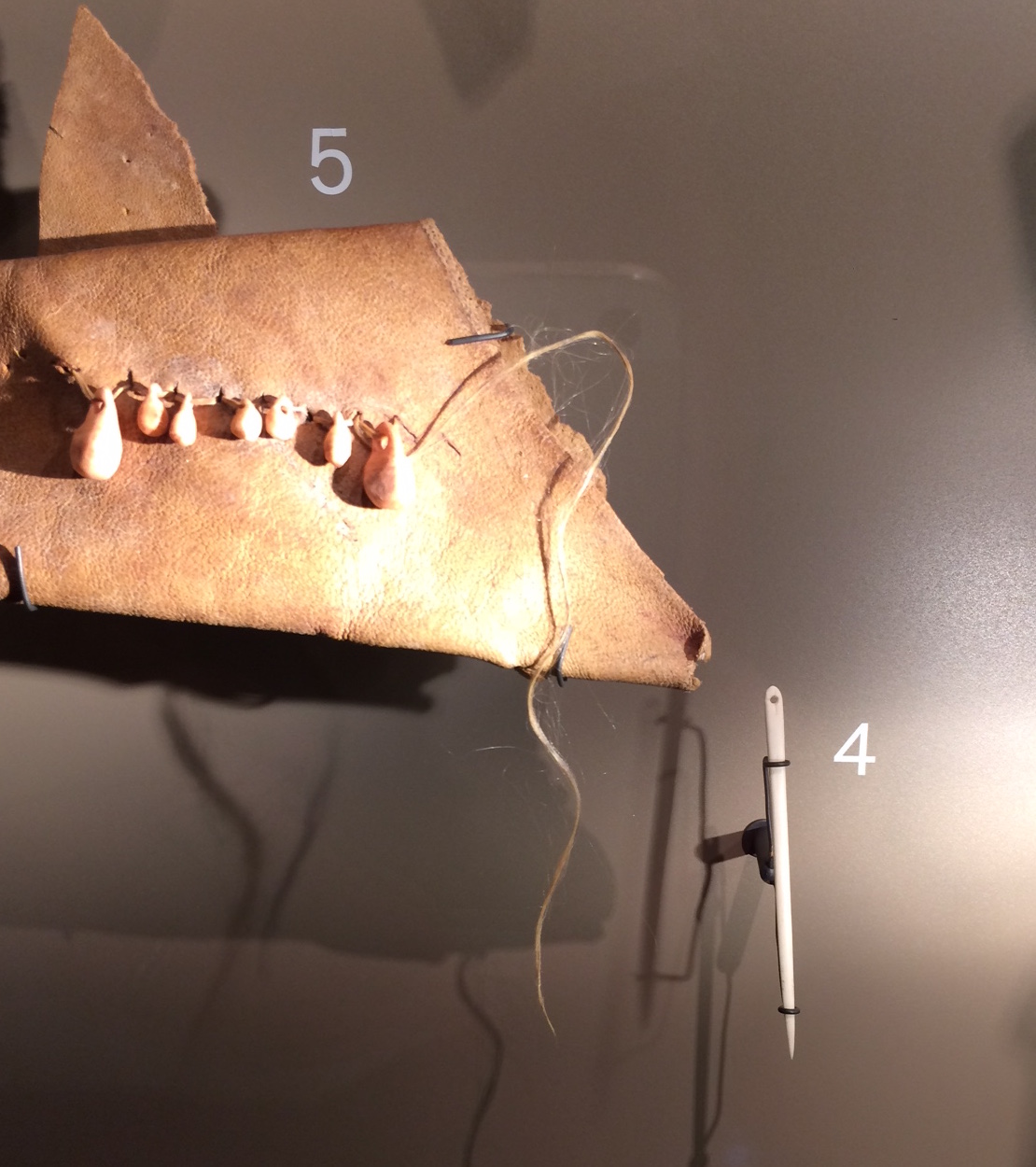 20,000年前の針と糸