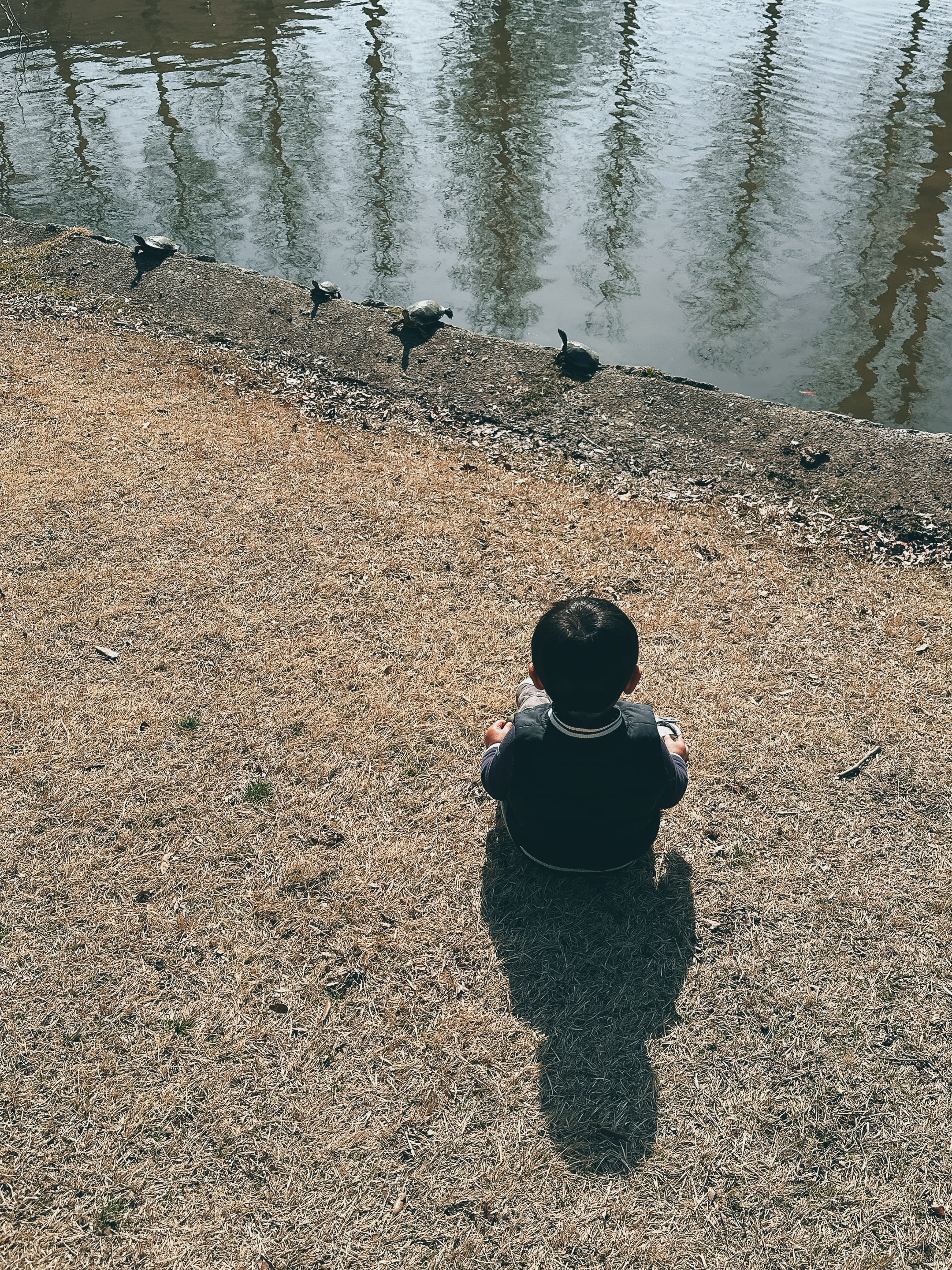 翻訳について──Alfred Tennyson, 'ulysses'の翻訳とともに