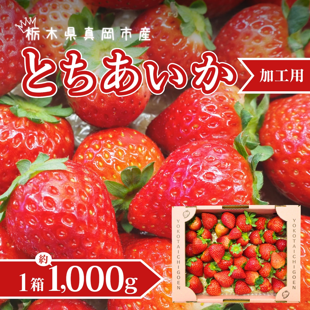 とちあいか 　(加工用苺)　2/15（日）　注文受付開始！