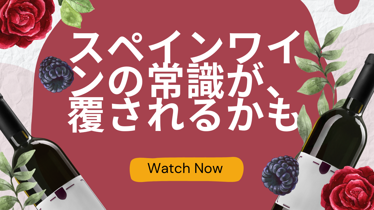 スペインワインの常識、あなたは覆されるかも