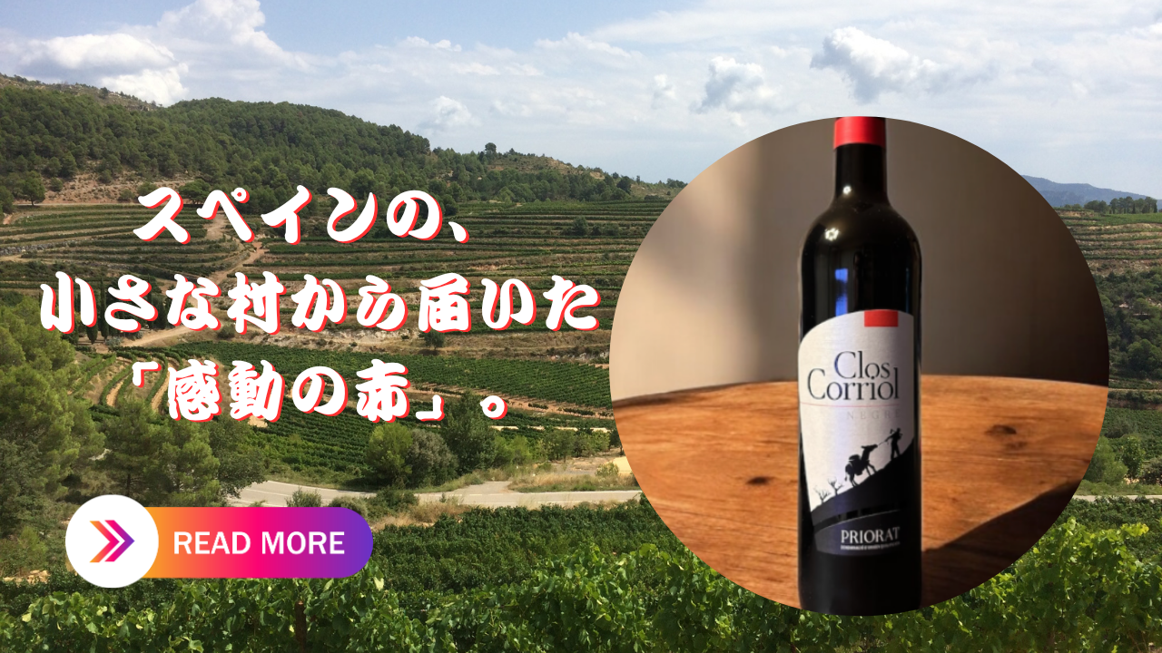 スペインの小さな村から届いた、感動の赤