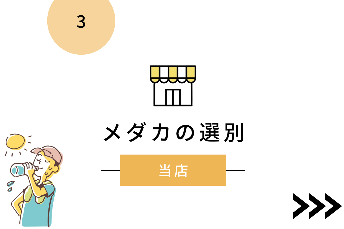 メダカの選別方法について