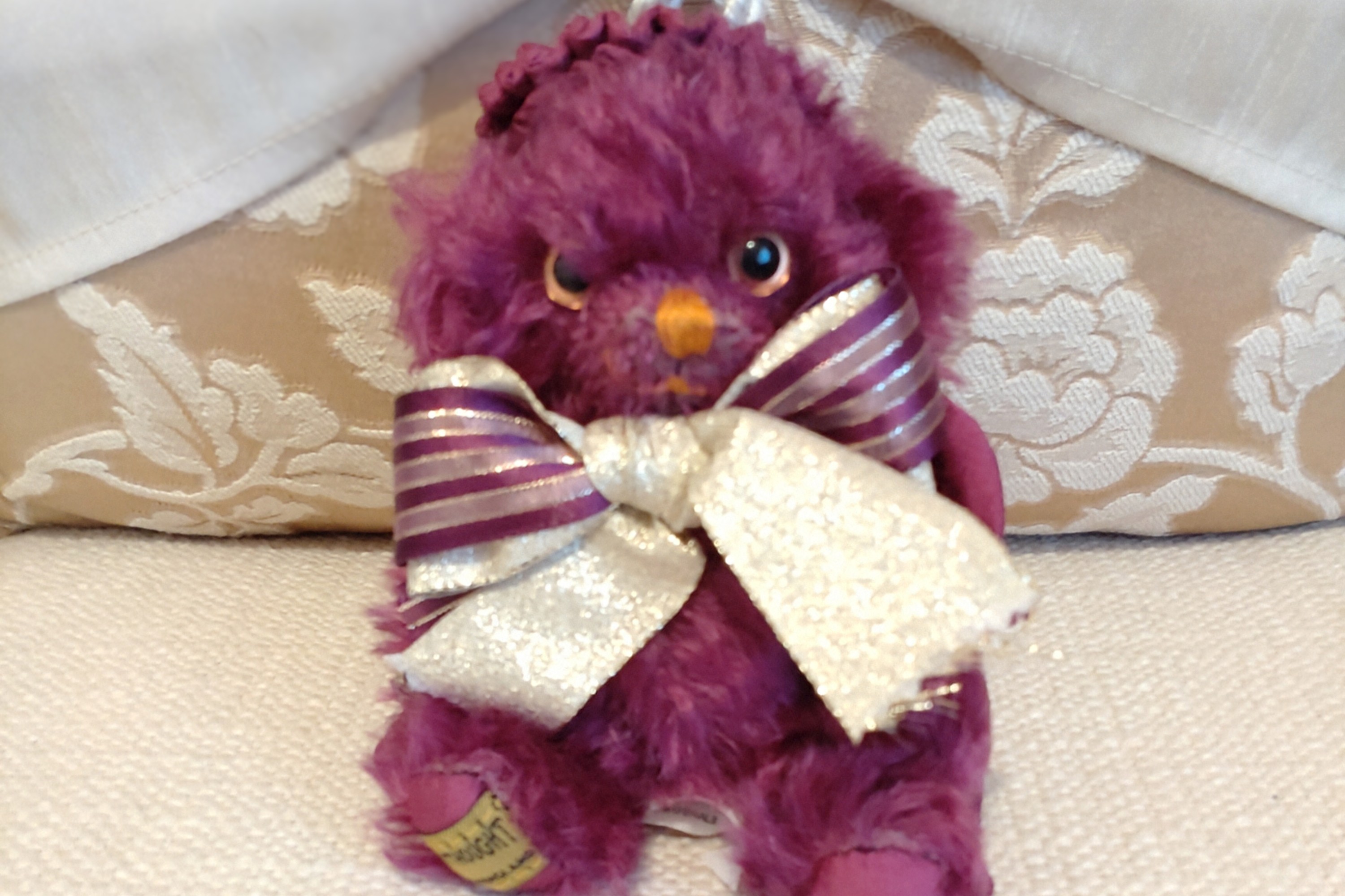 海外から到着🧸