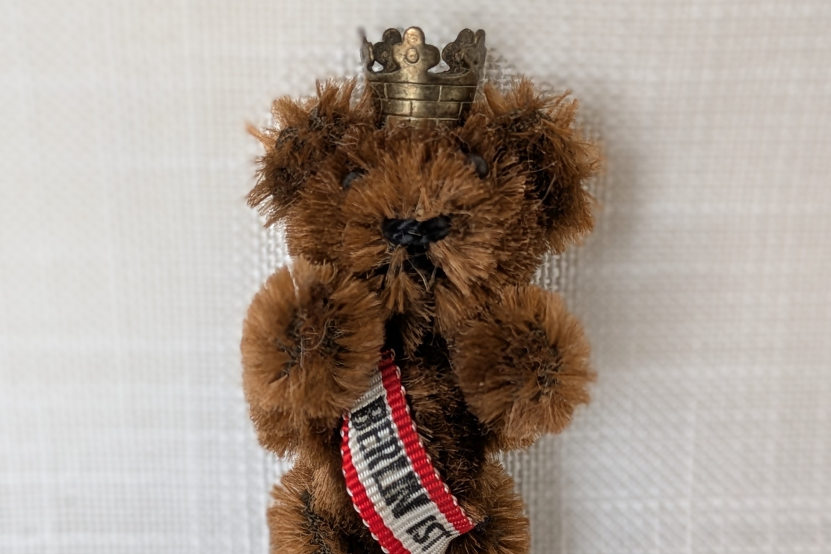 新たに入荷してます🧸