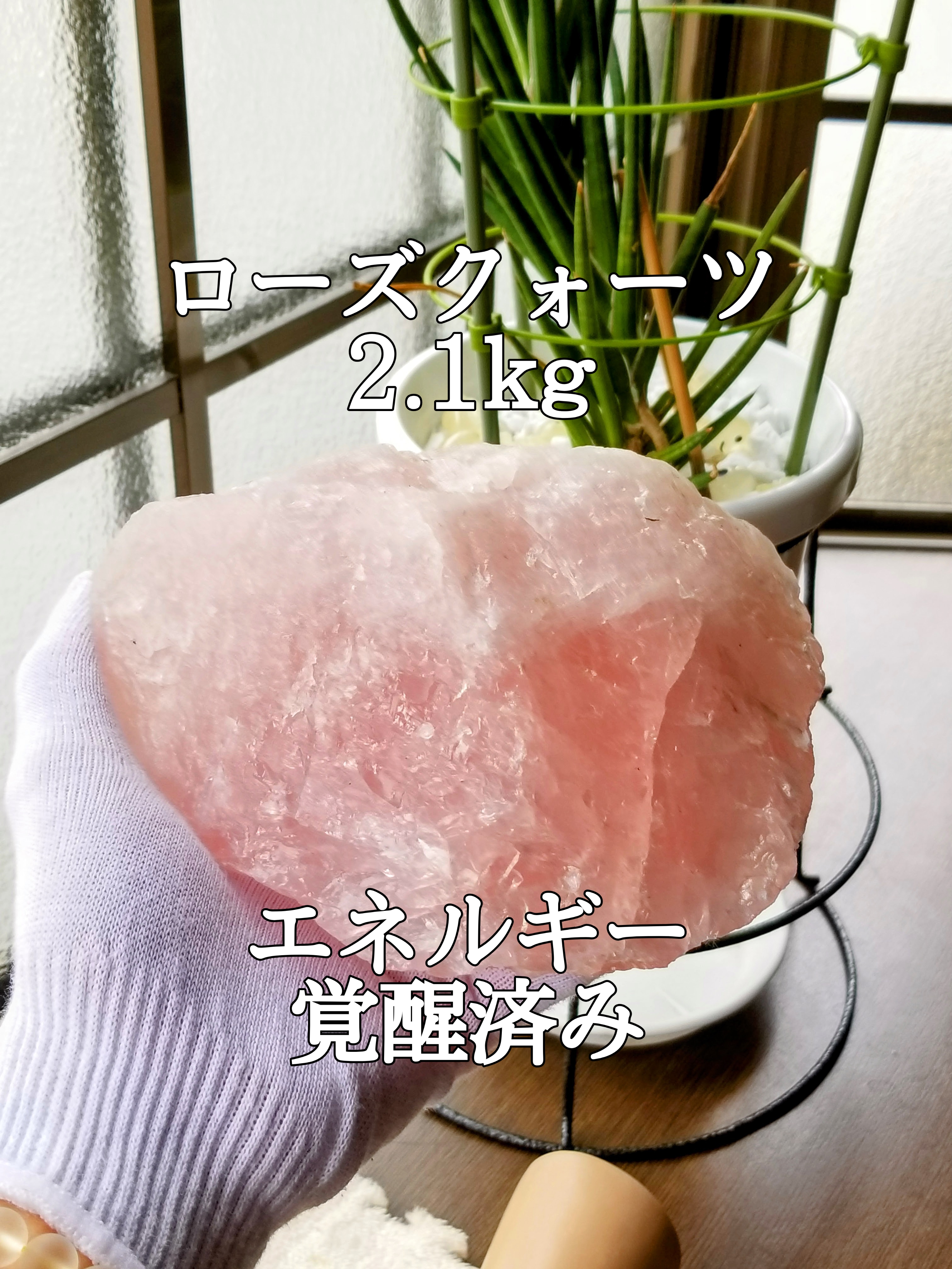 【ブログ】生きているパワーストーンのご紹介♪