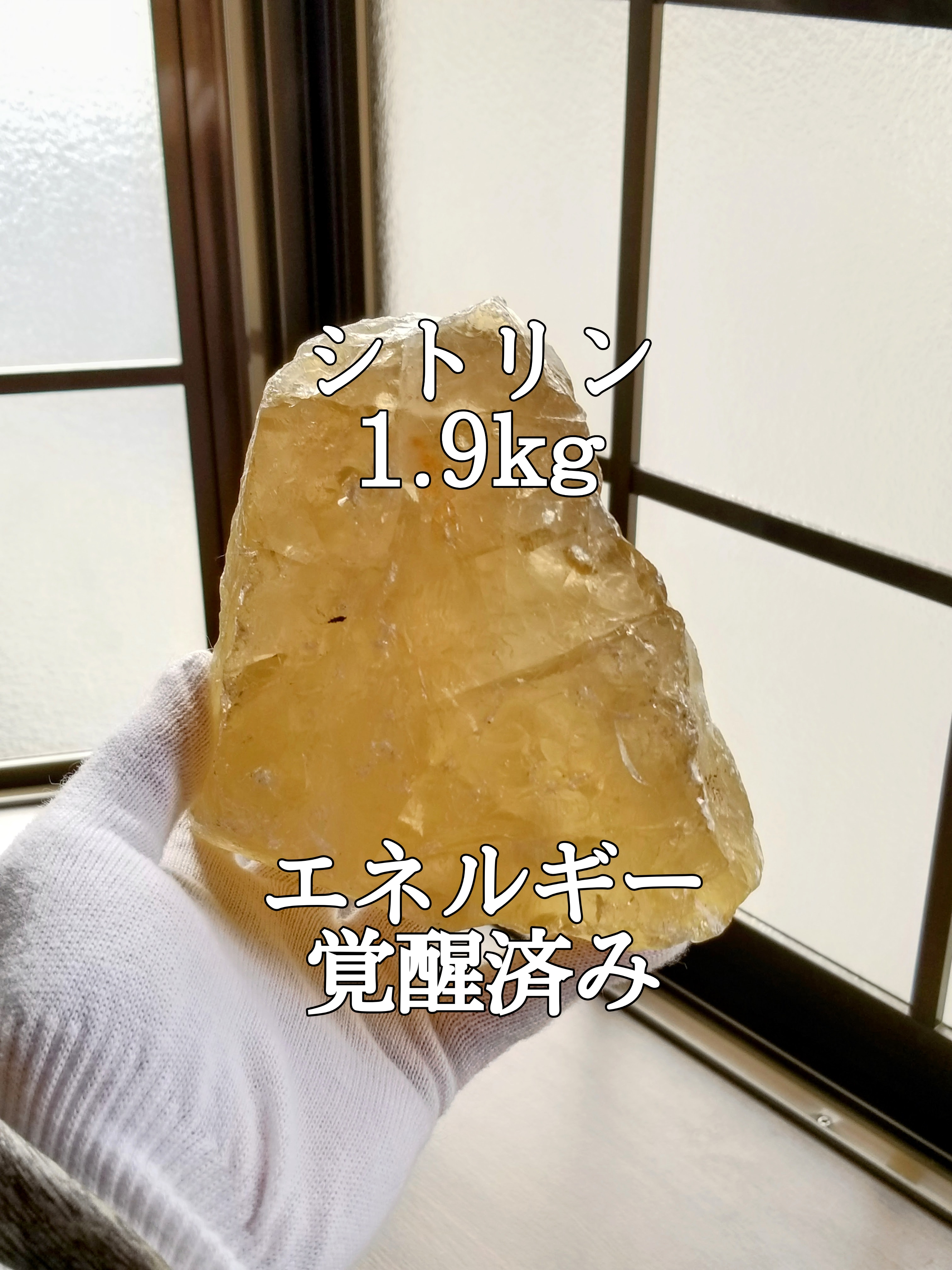 【ブログ】生きているパワーストーンのご紹介♪