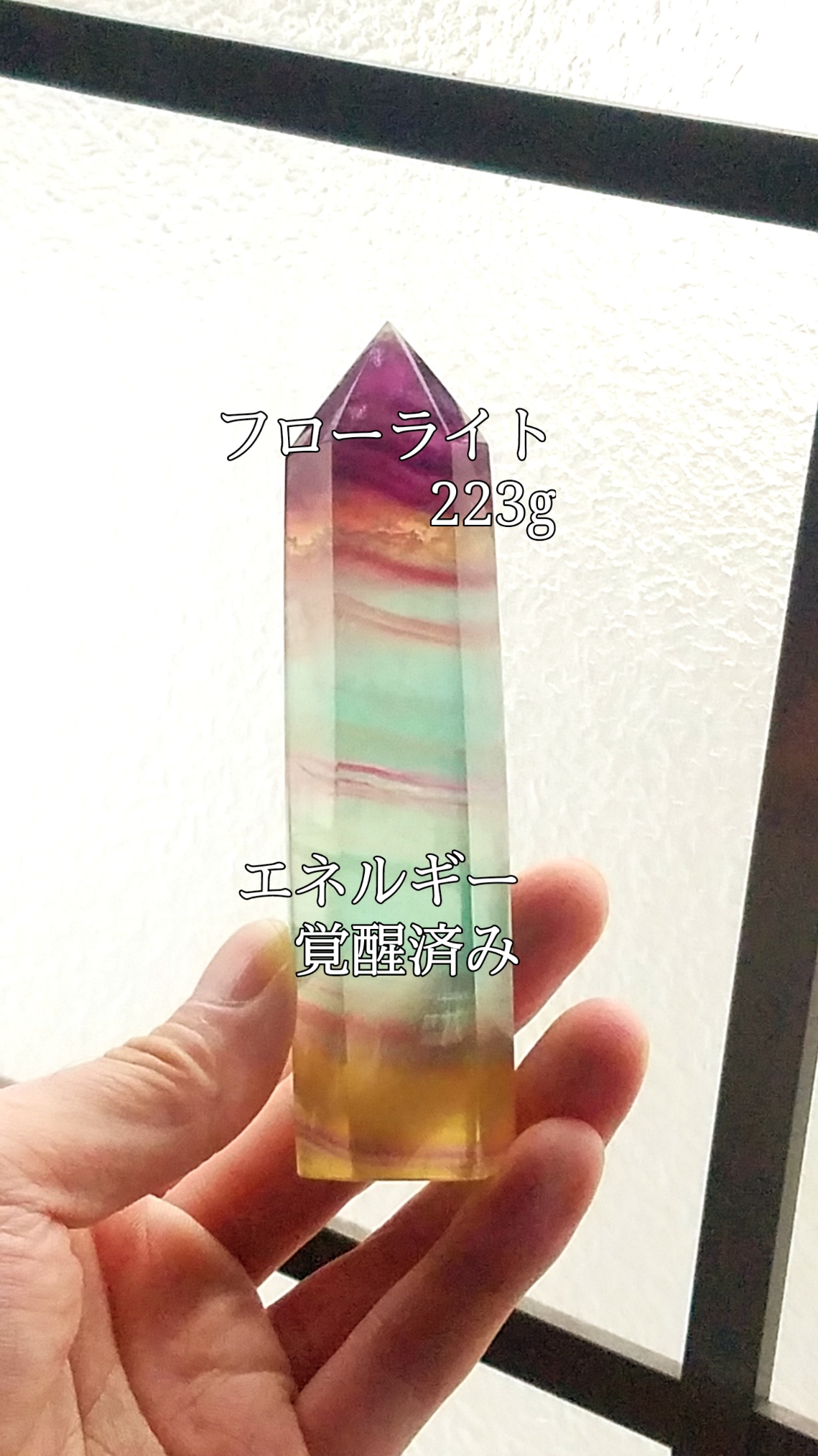 【ブログ】生きているパワーストーンのご紹介♪