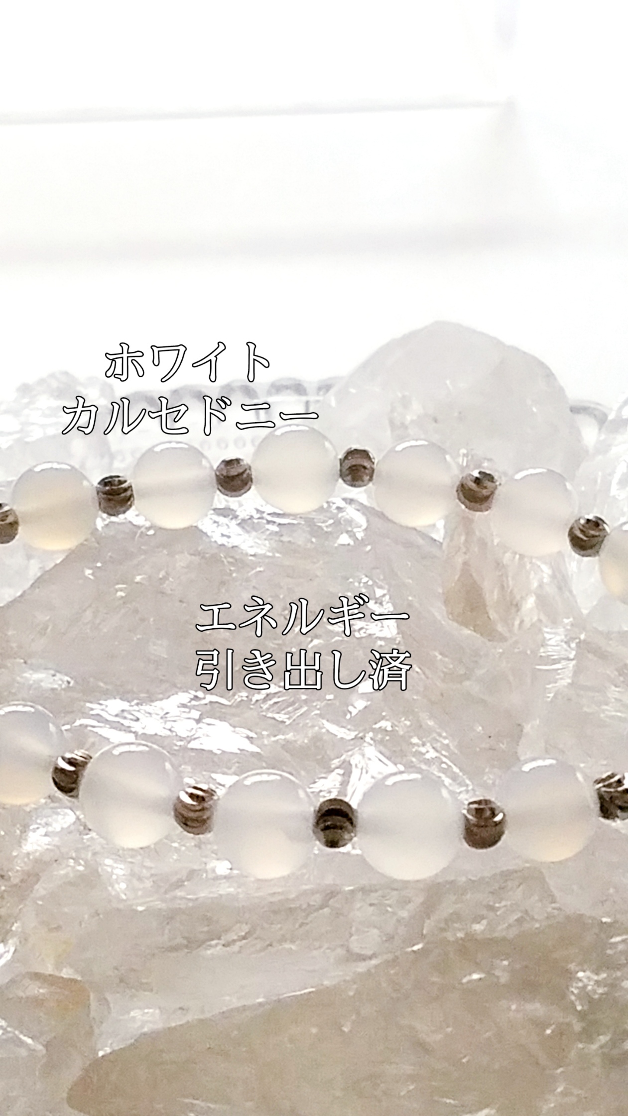 【ブログ】生きているパワーストーンのご紹介♪