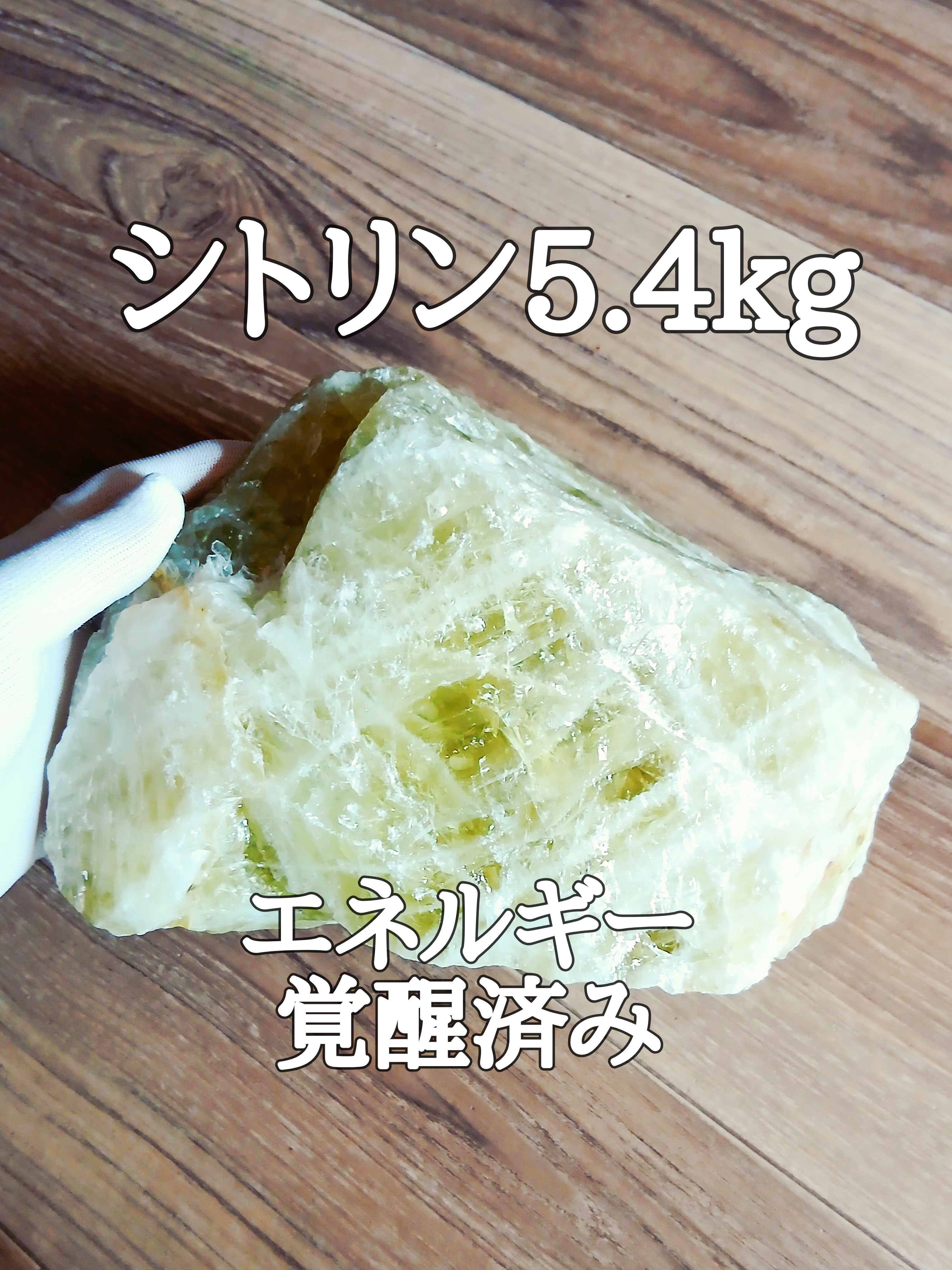 【ブログ】生きているパワーストーンのご紹介♪