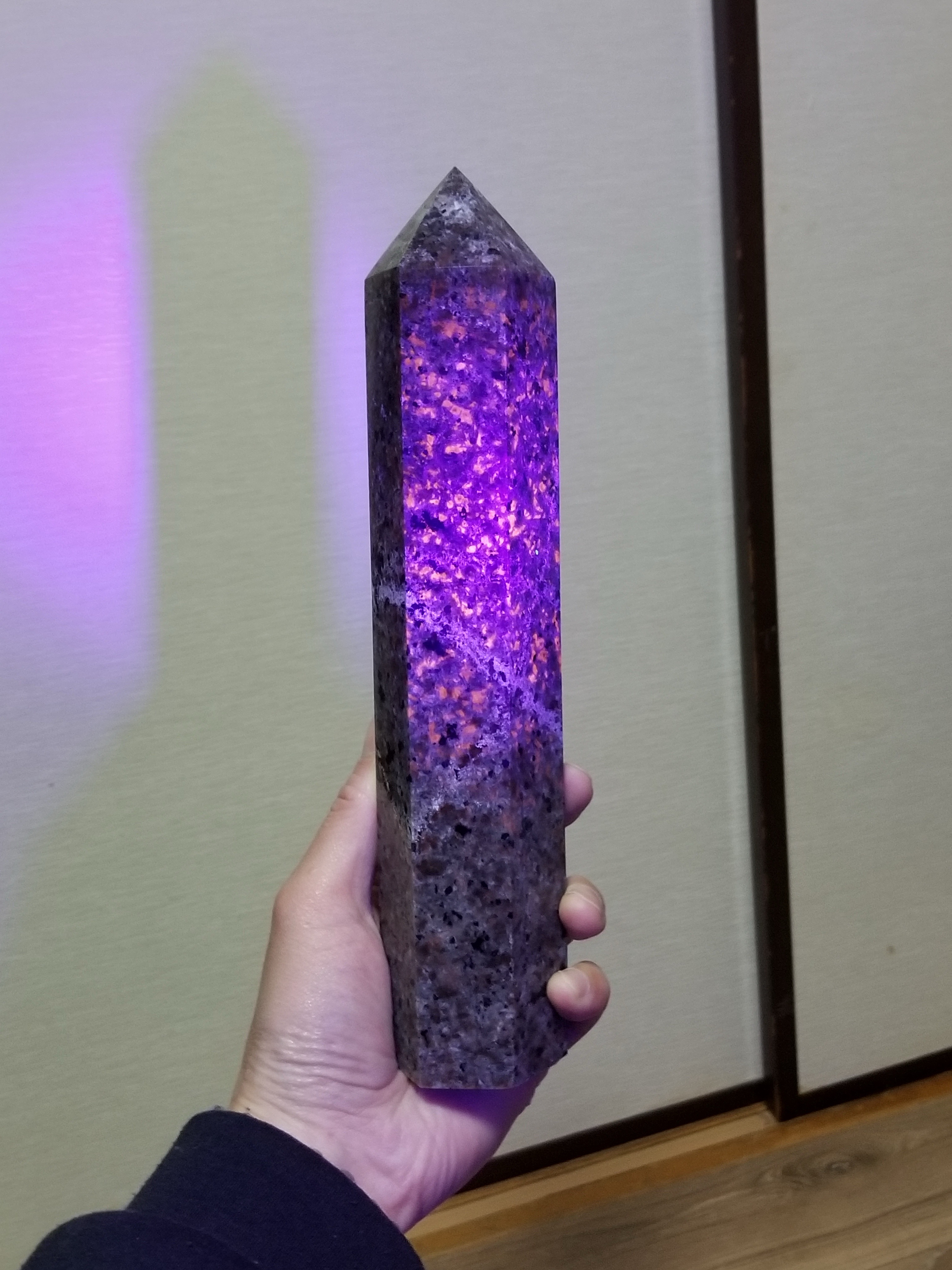 【ブログ】生きているパワーストーンのご紹介♪