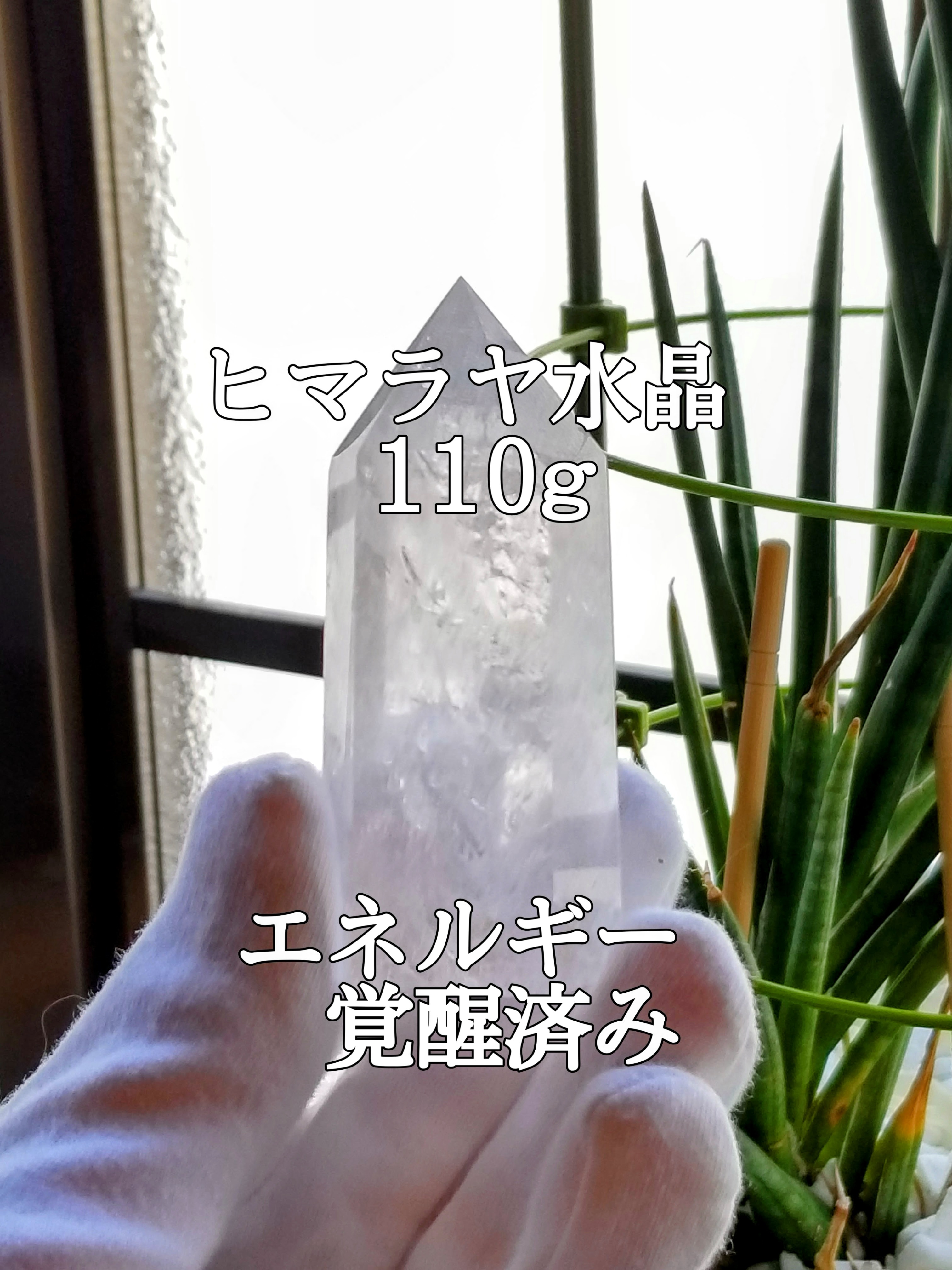 【ブログ】生きているパワーストーンのご紹介♪