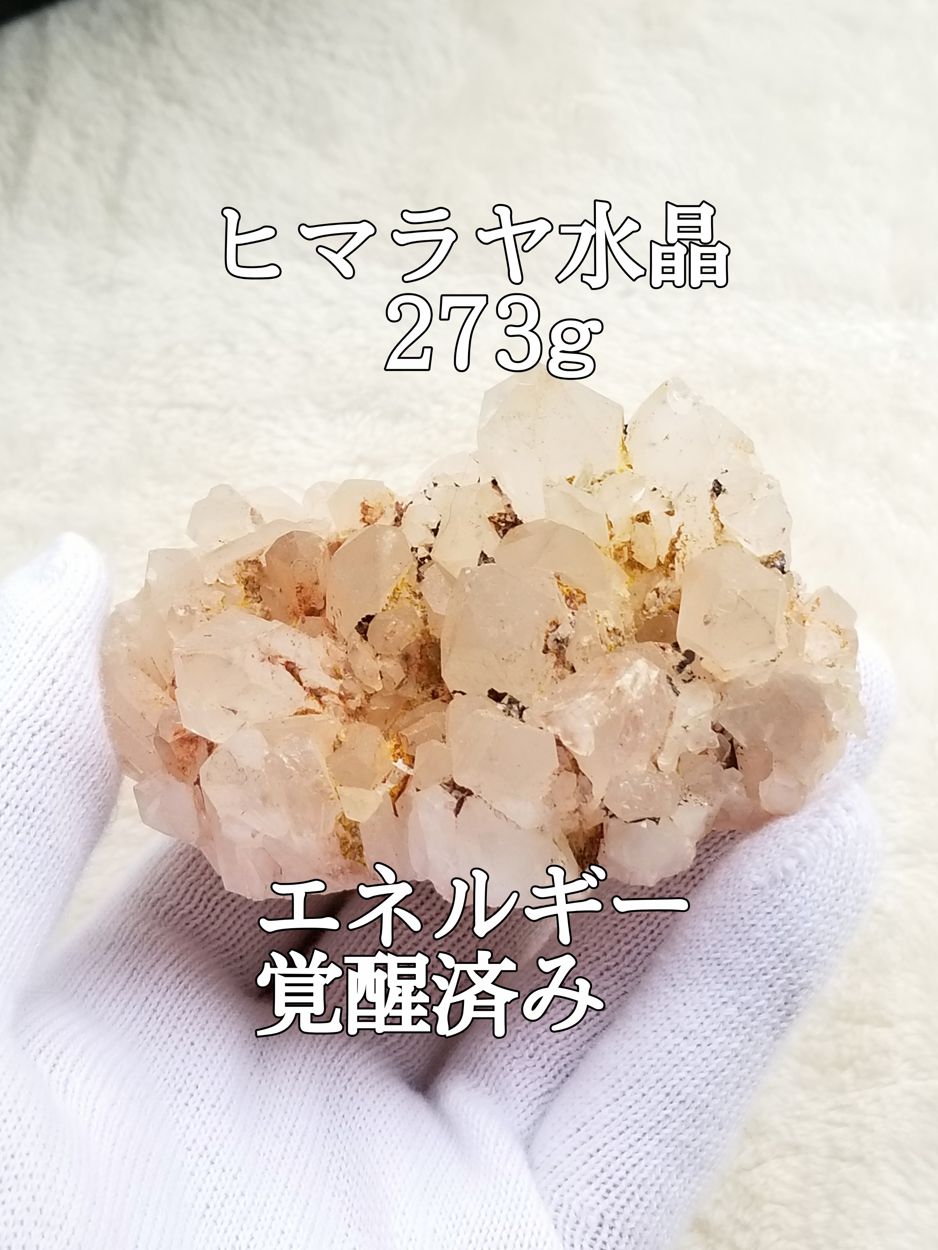 【ブログ】生きているパワーストーンのご紹介♪
