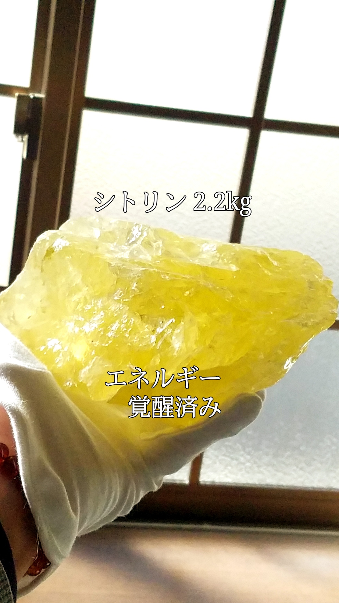 【ブログ】生きているパワーストーンのご紹介♪
