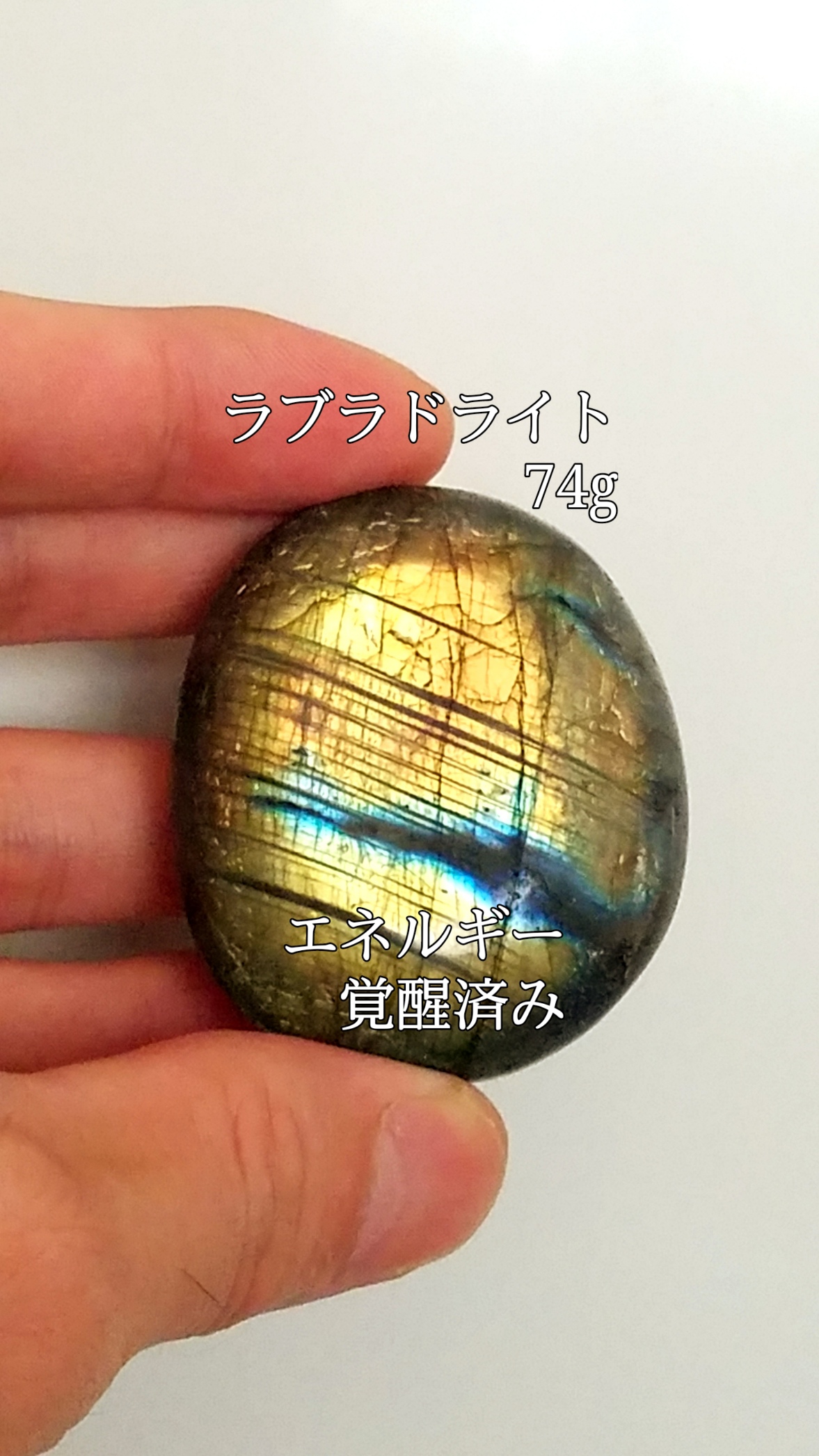 【ブログ】生きているパワーストーンのご紹介♪