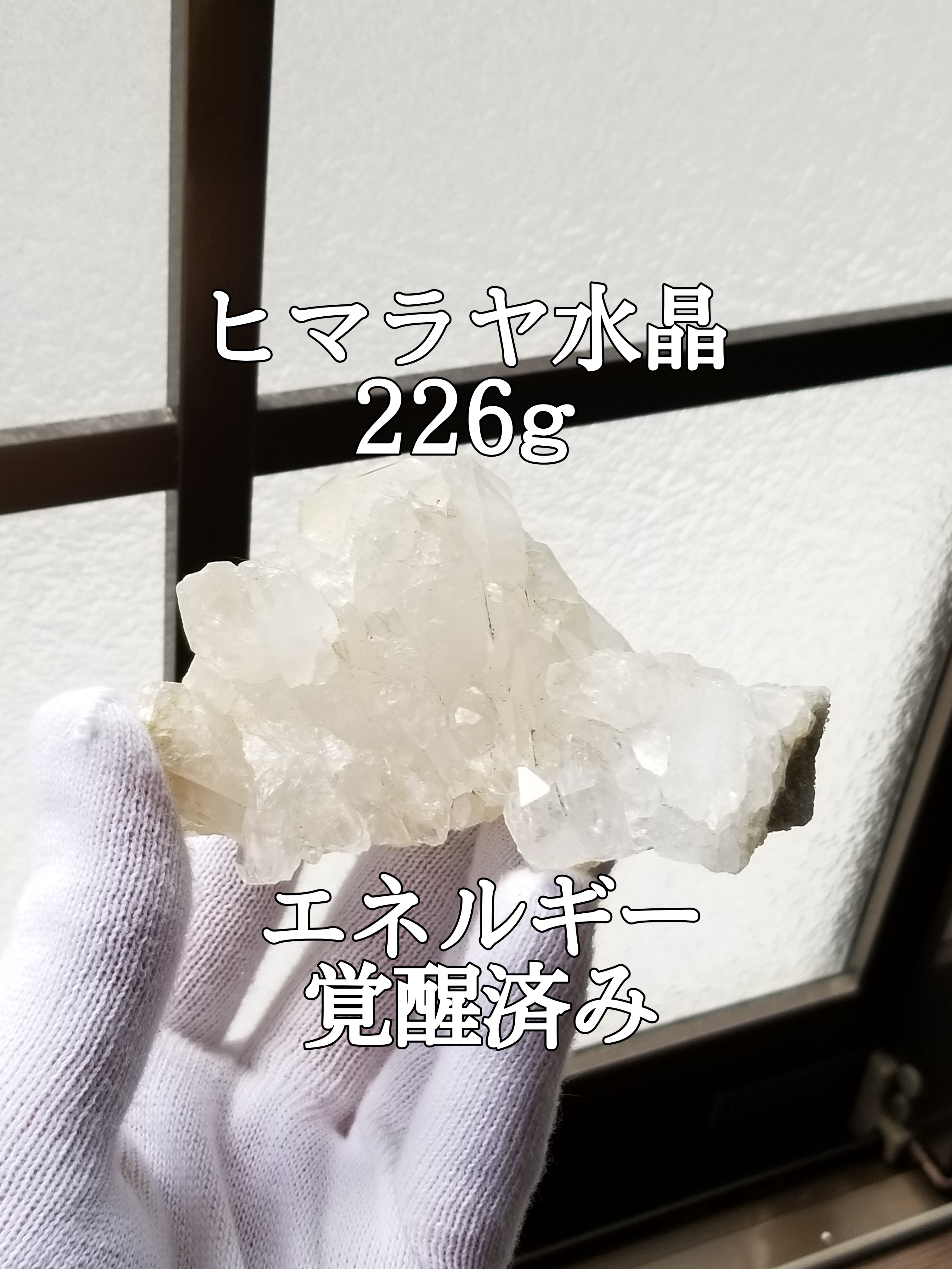 【ブログ】生きているパワーストーンのご紹介♪