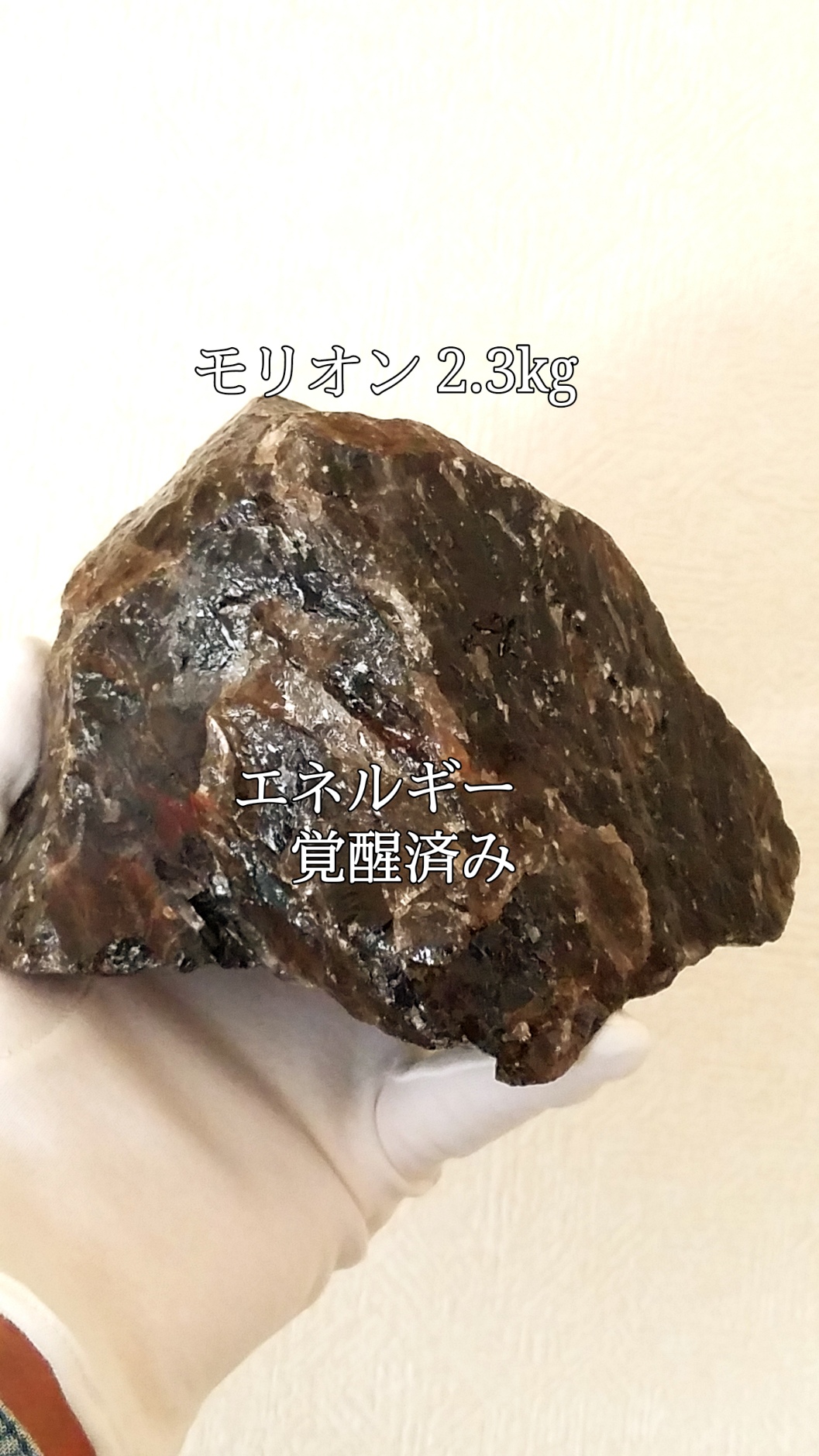 【ブログ】生きているパワーストーンのご紹介♪