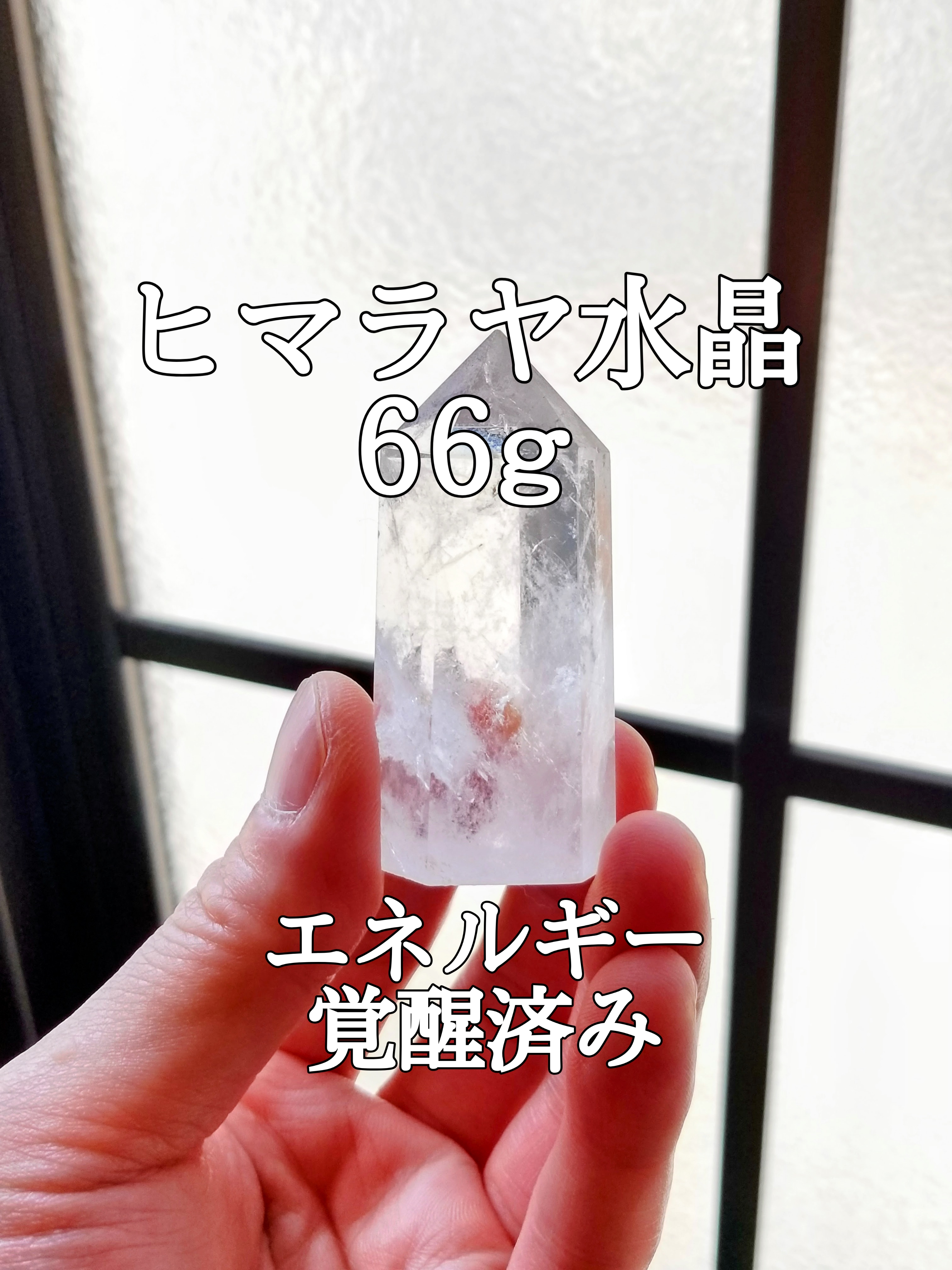 【ブログ】生きているパワーストーンのご紹介♪