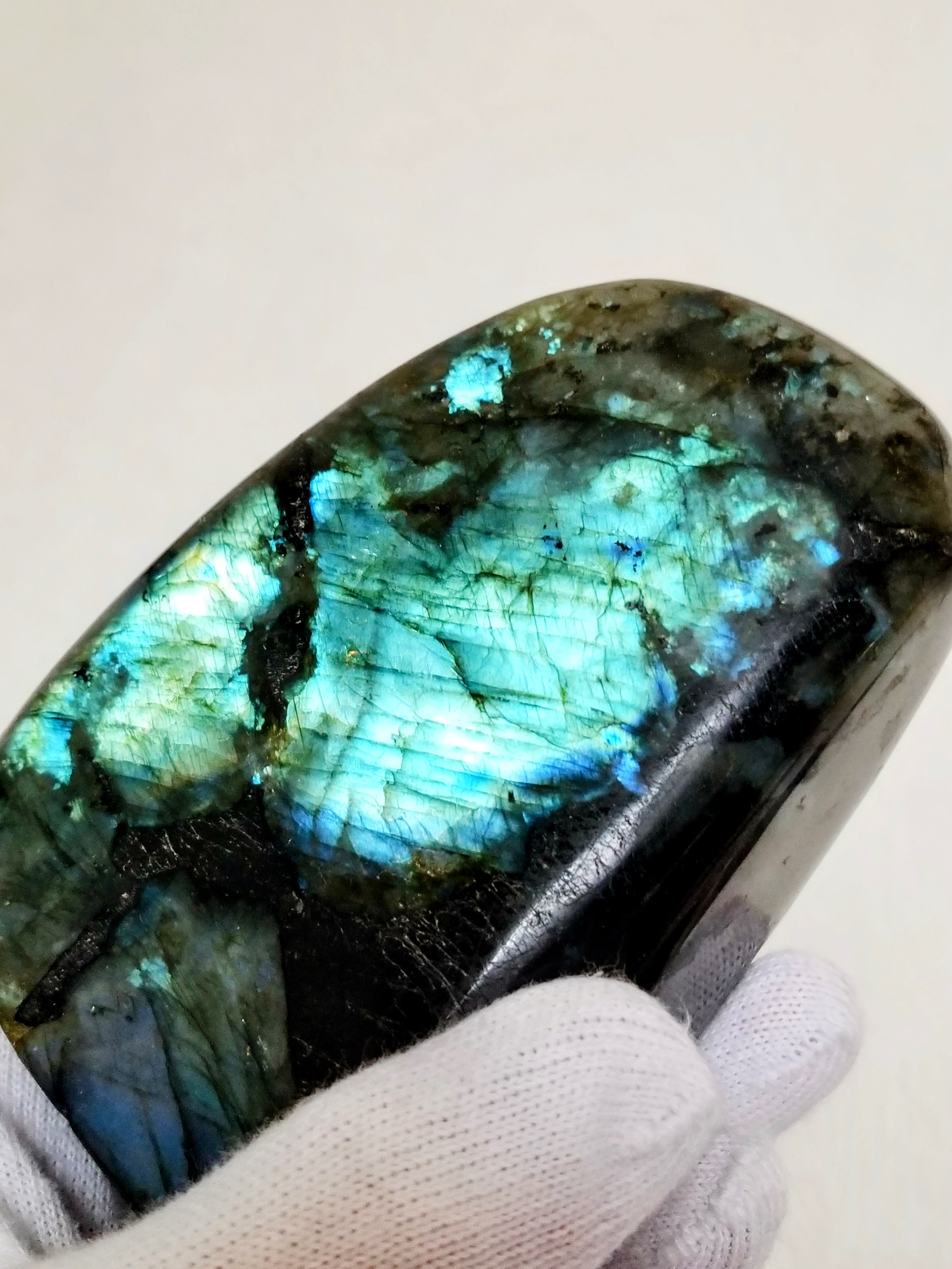 【ブログ】生きているパワーストーンのご紹介♪