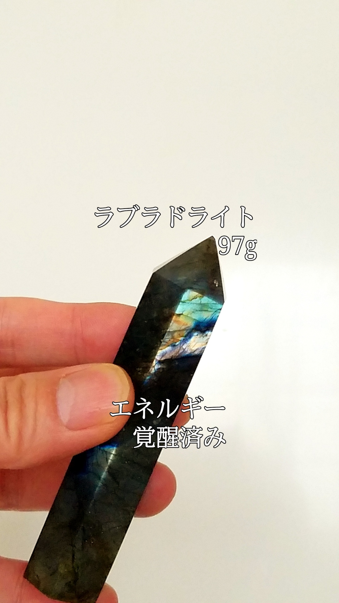 【ブログ】生きているパワーストーンのご紹介♪
