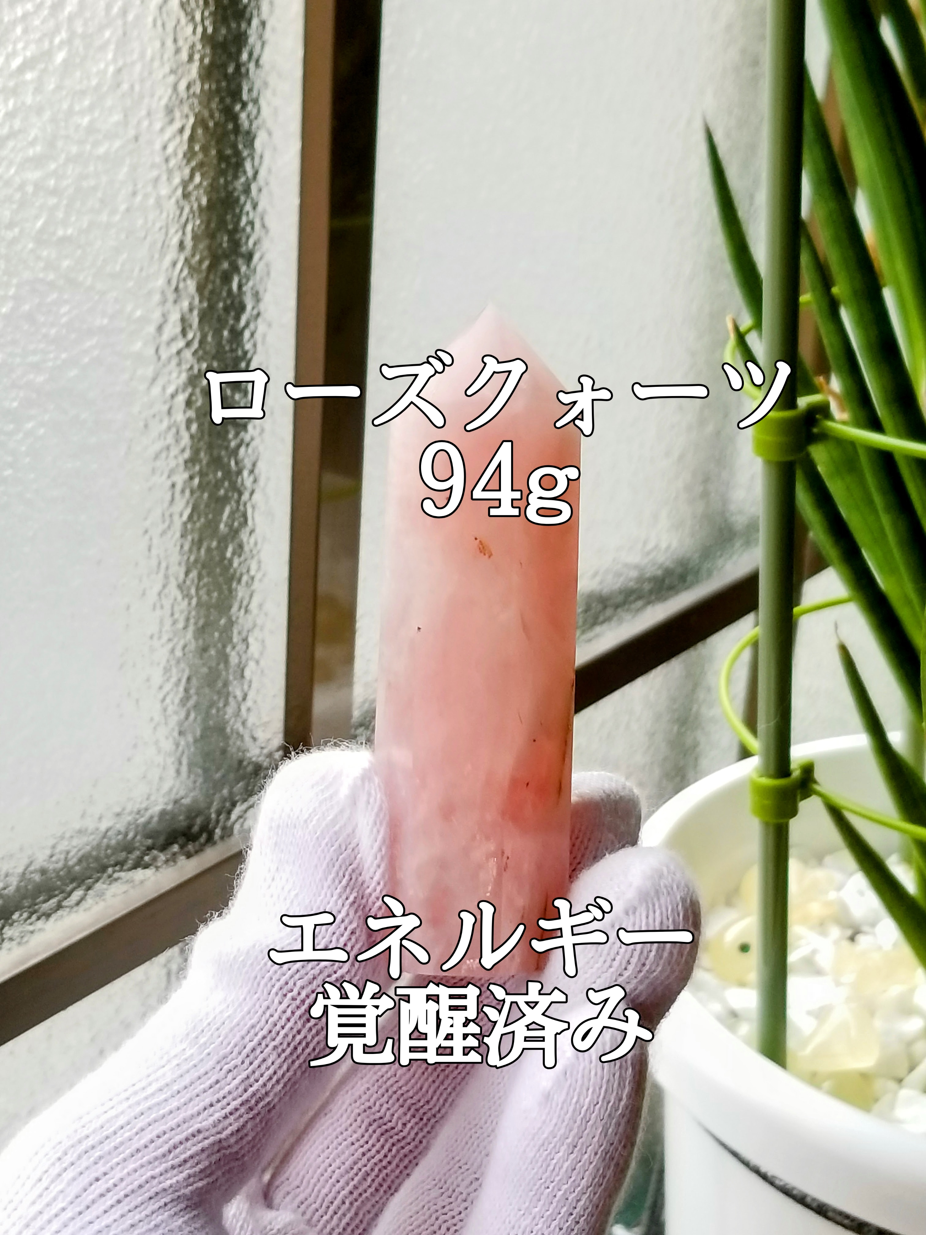 【ブログ】生きているパワーストーンのご紹介♪