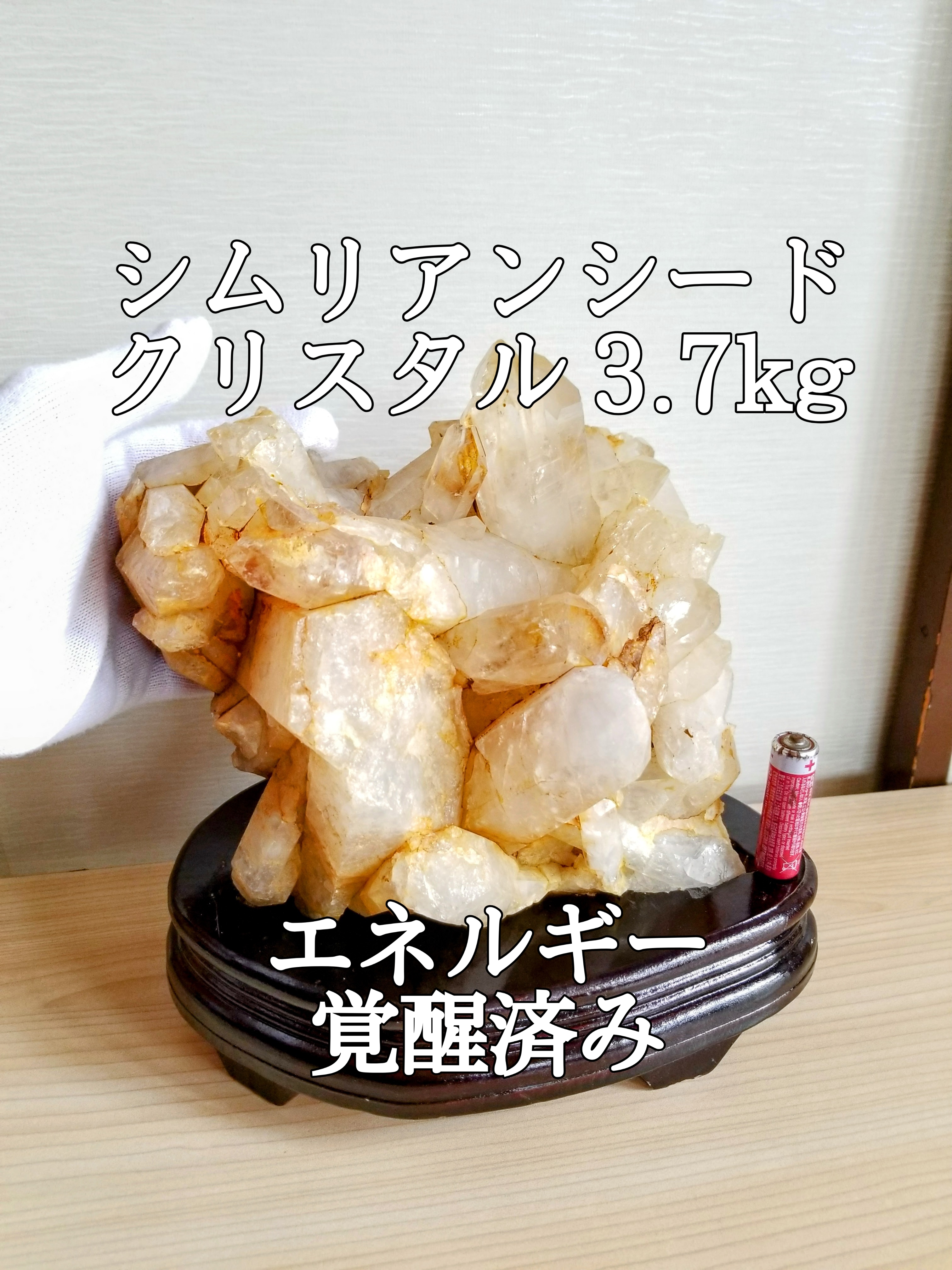 【ブログ】生きているパワーストーンのご紹介♪