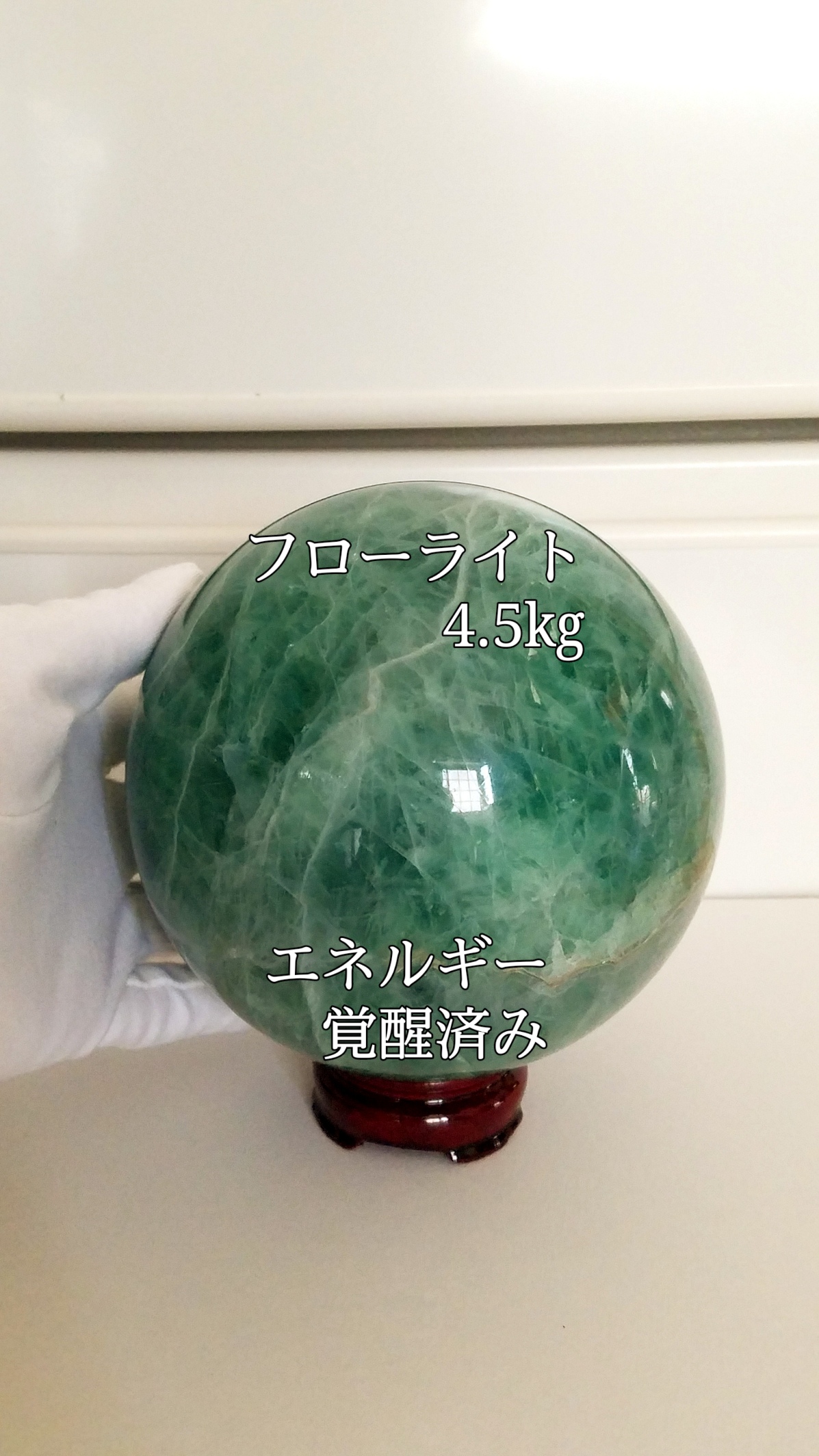 【ブログ】生きているパワーストーンのご紹介♪