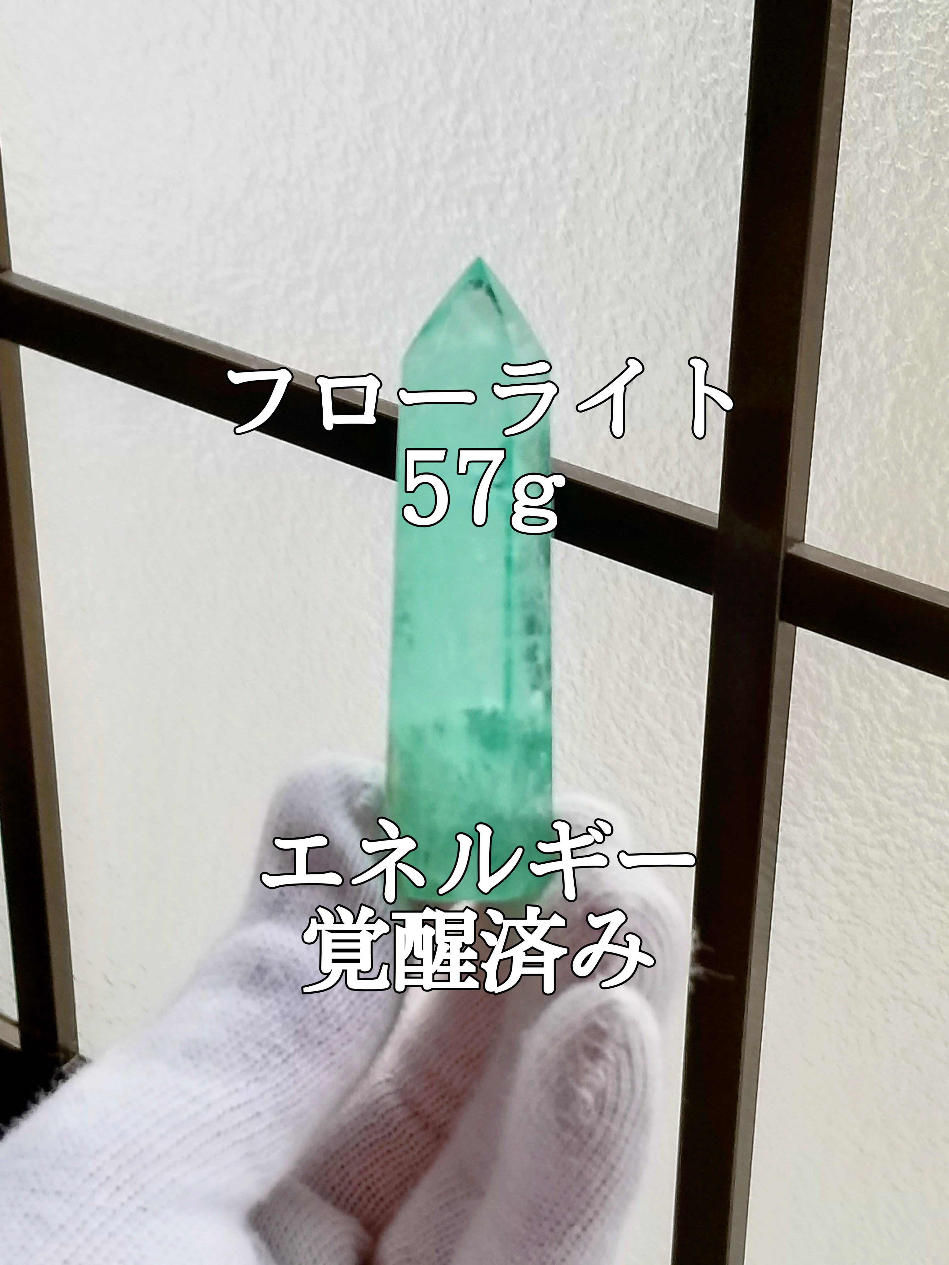 🆕【ブログ】生きているパワーストーンのご紹介♪