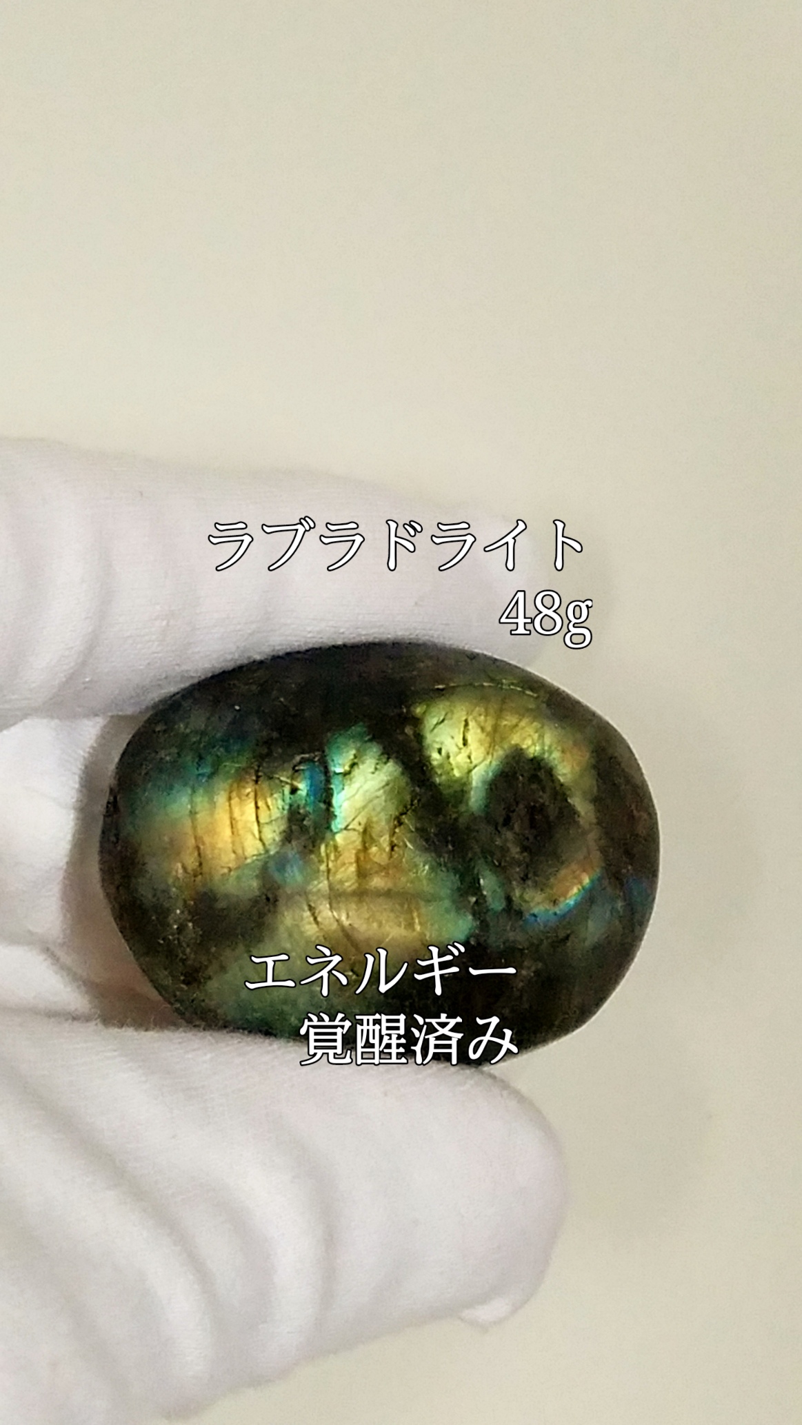 【ブログ】生きているパワーストーンのご紹介♪