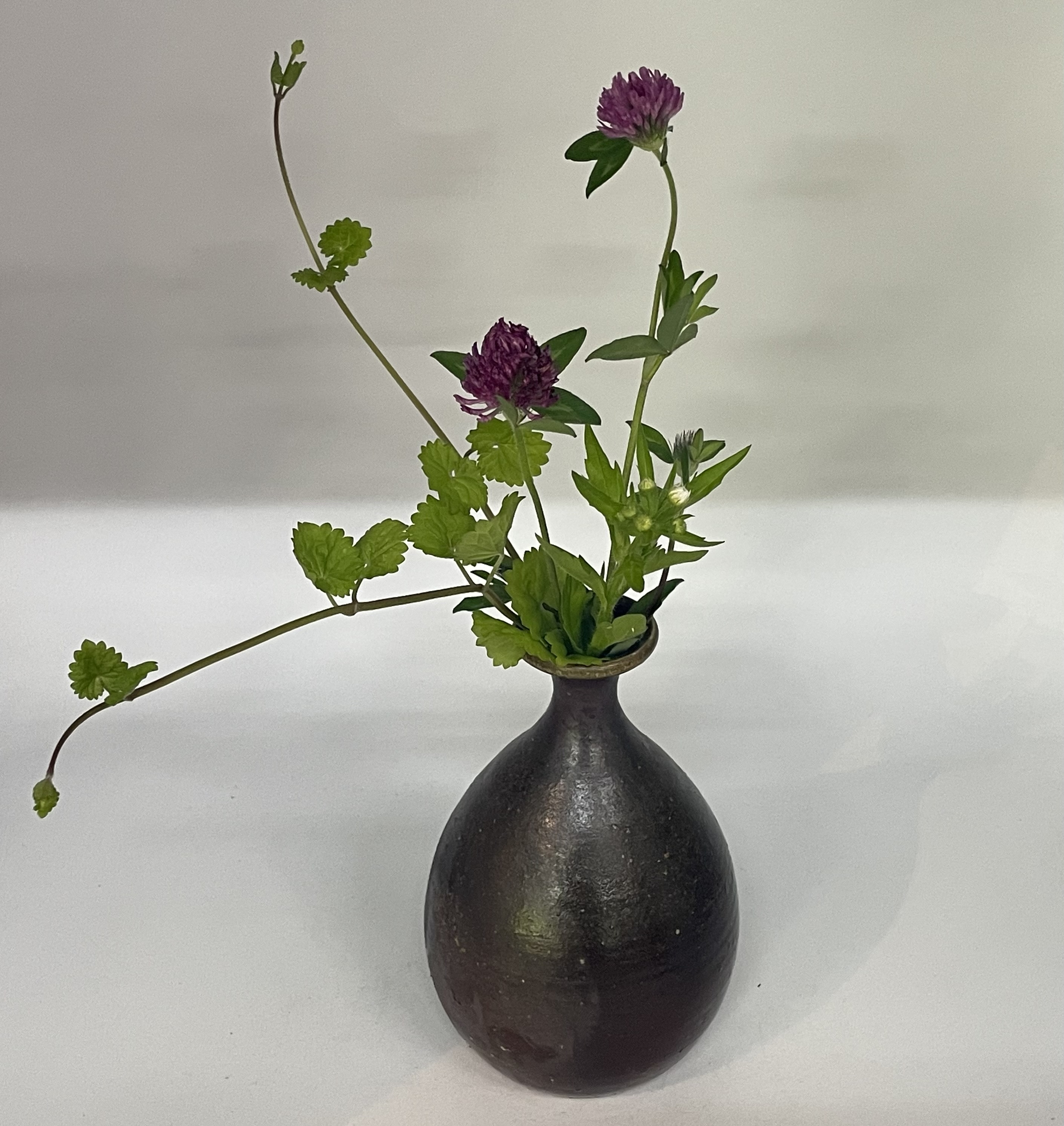 野草を楽しむ