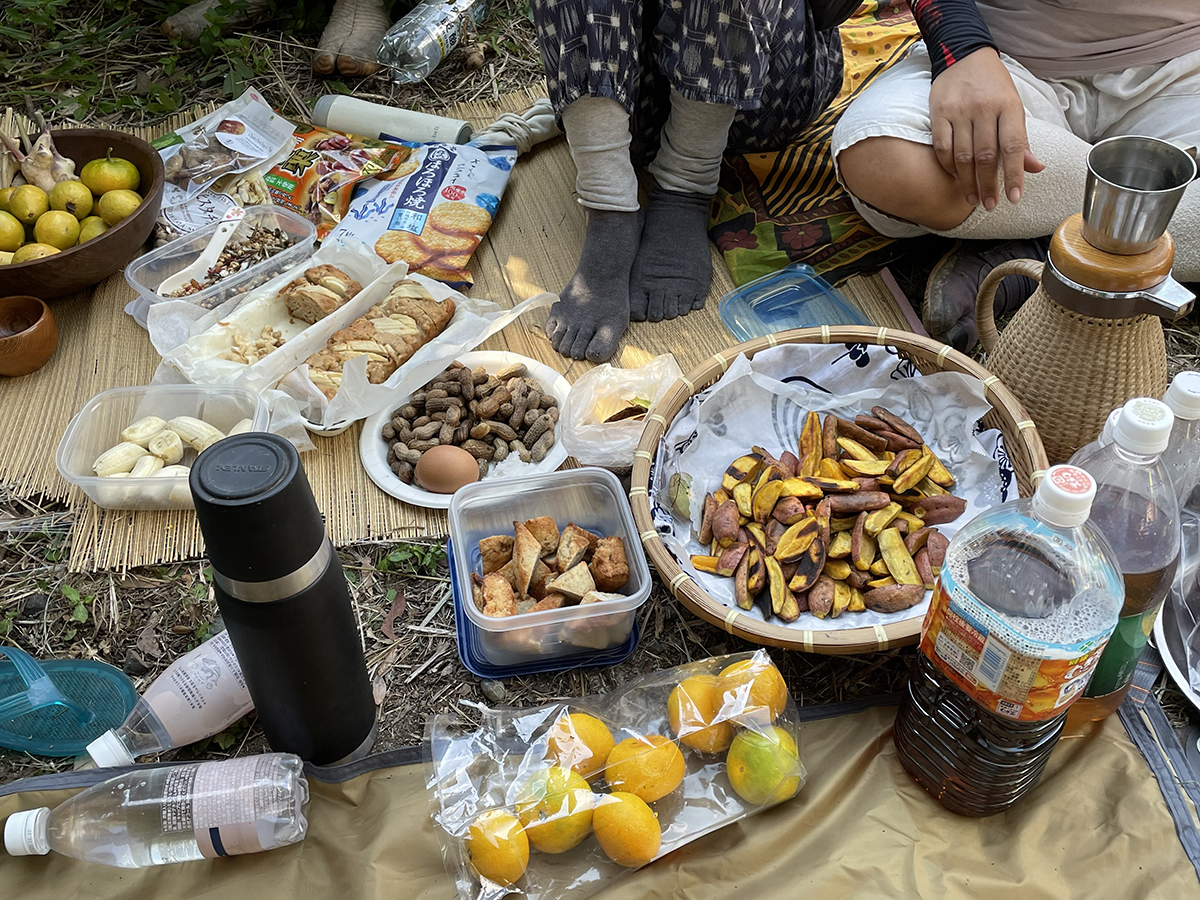 田んぼのクラウドファンディング・応援お願いします