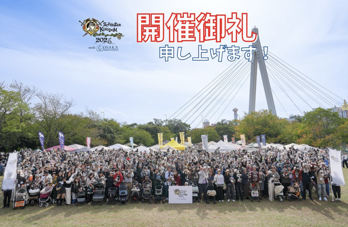 11/2 シュナウザーキングダム大阪 開催御礼