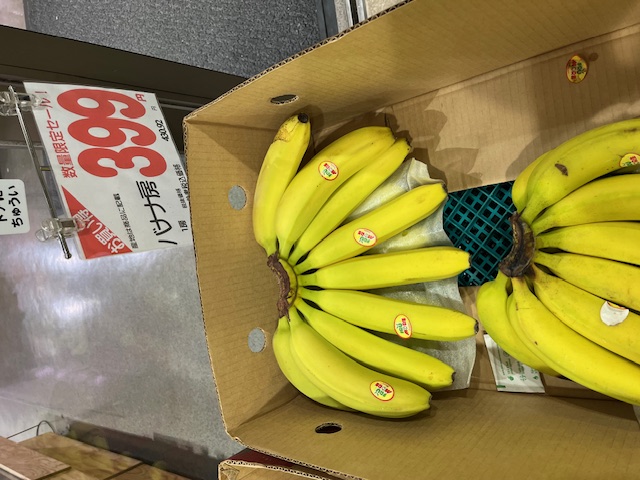 車の修理は諦めましたー。笑