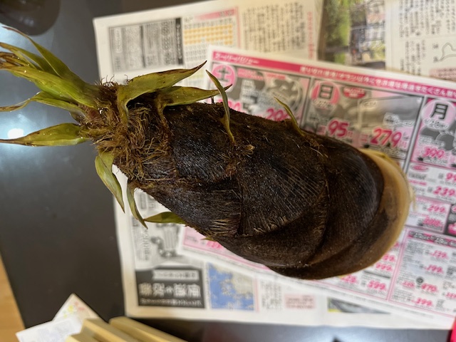 たけのこ