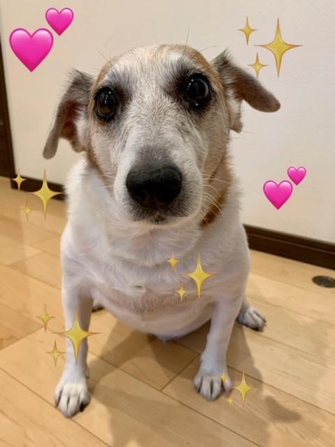 便利工房なかやまです。こちらから特別クーポンをゲット！プレゼント企画も行っています。