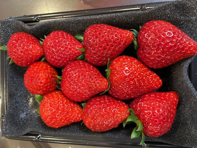 明日はお花見日和…だったら良いな。