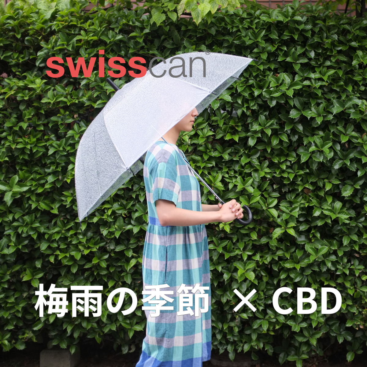 梅雨の時期の体調管理にCBDという選択を