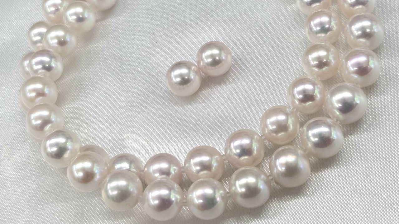 一点限り 花珠パールセットがお買い得