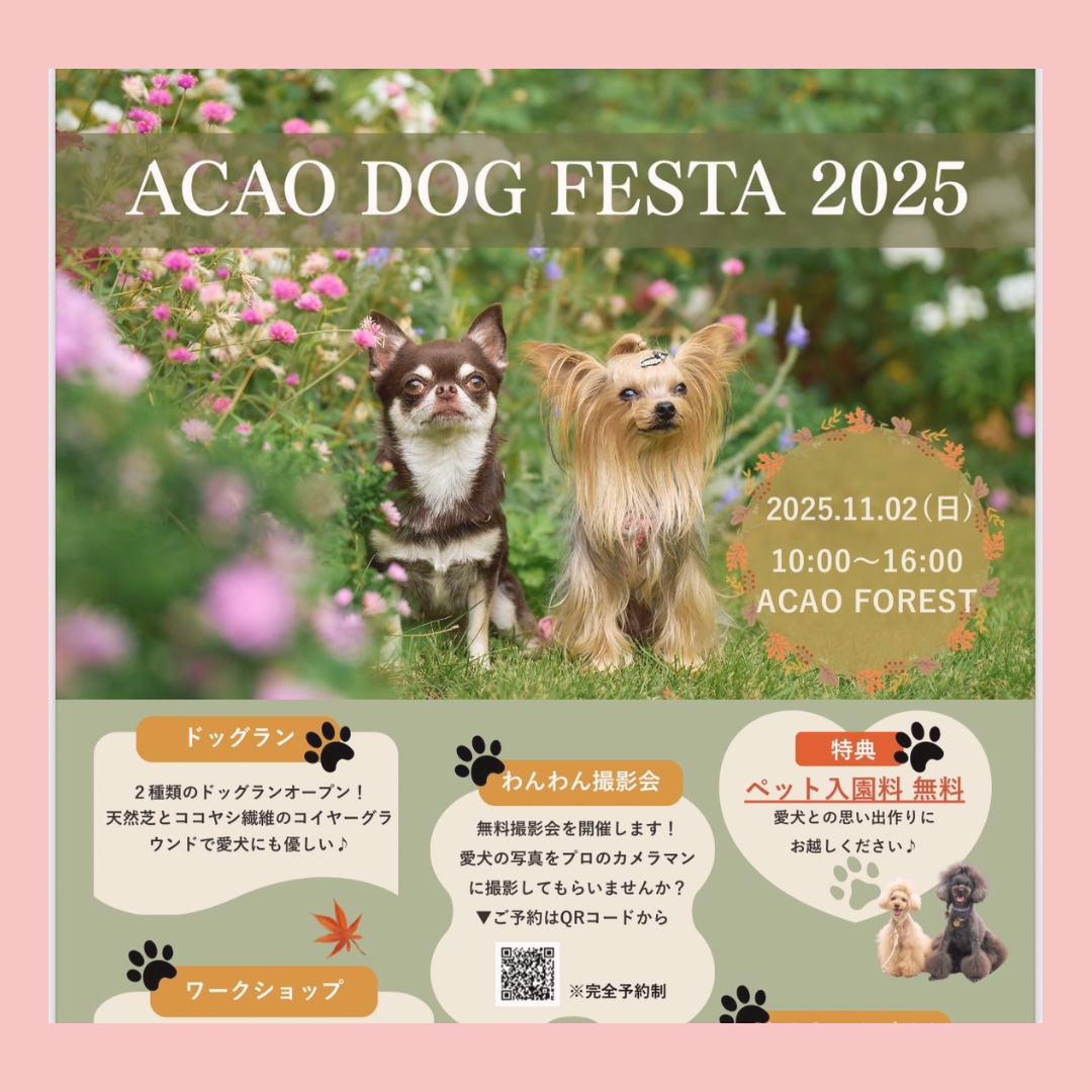 11/2 熱海イベント出店