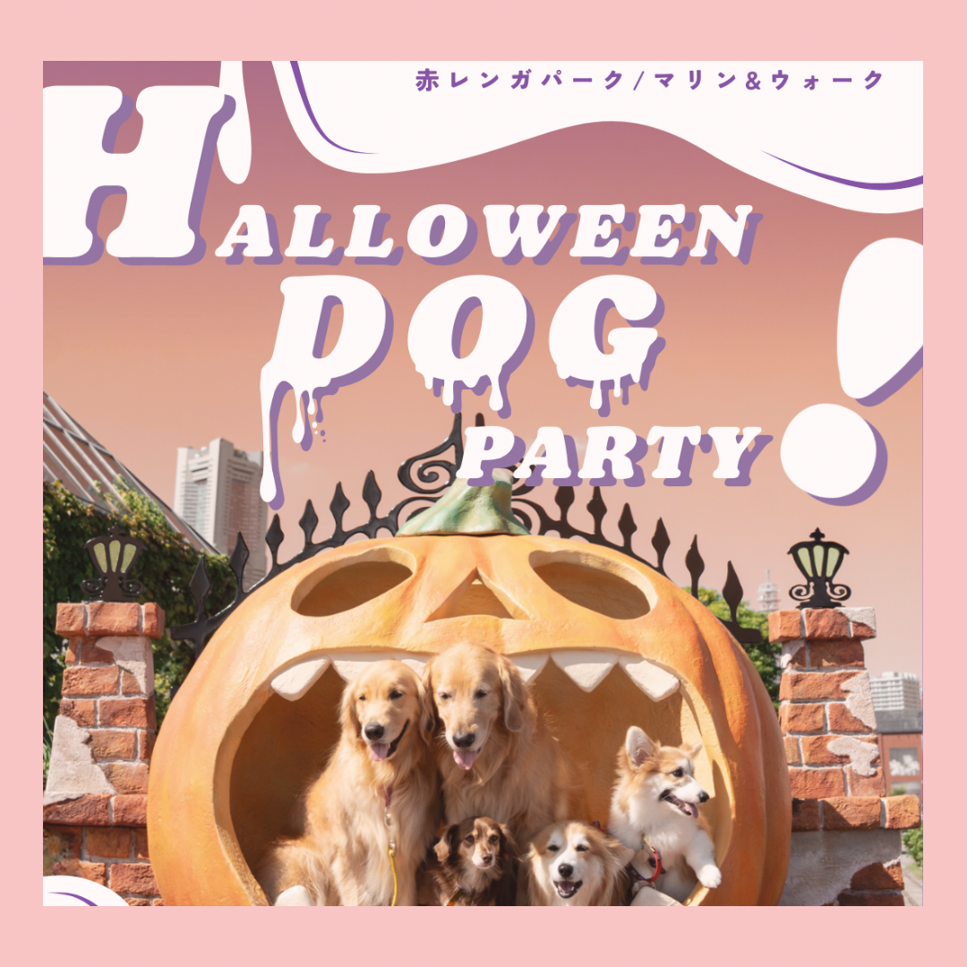 10/11-13 横浜イベント出店