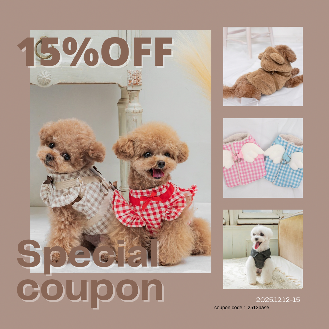 15%OFFキャンペーン